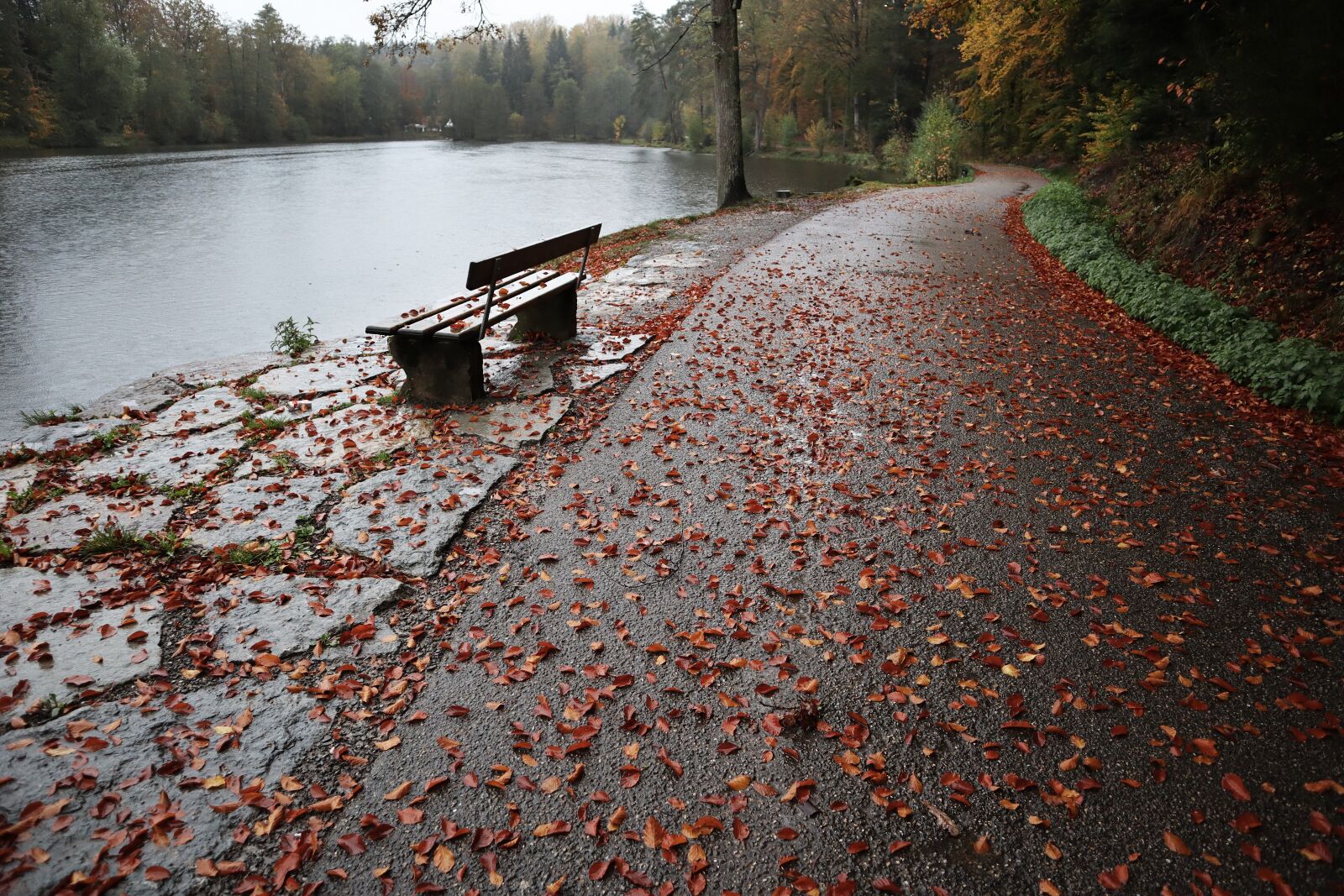 Canon EF-M 15-45mm F3.5-6.3 IS STM sample photo. Autumn, leaves, mood photography
