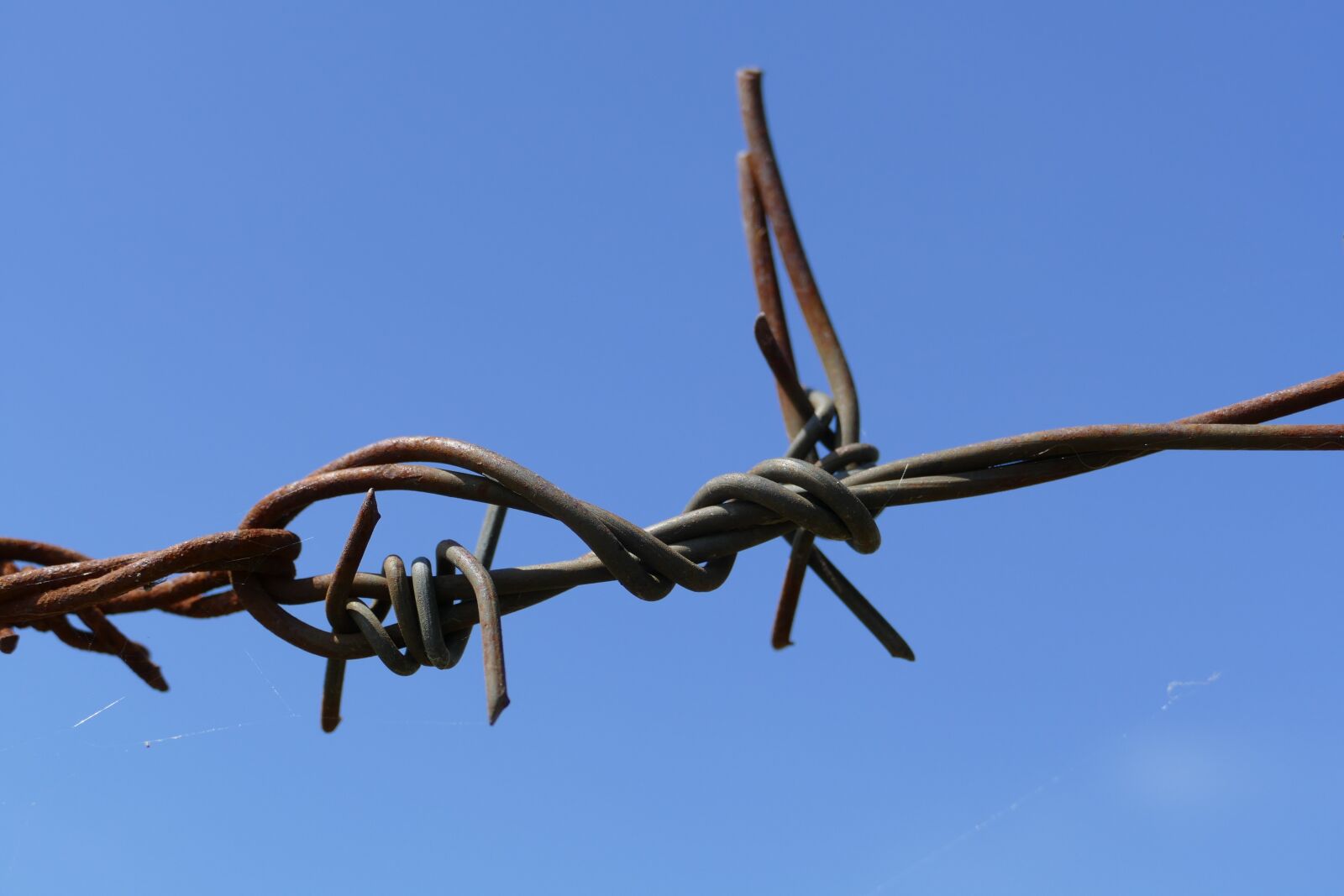 Panasonic Lumix DMC-FZ1000 sample photo. Barbed wire, knot, sharp photography