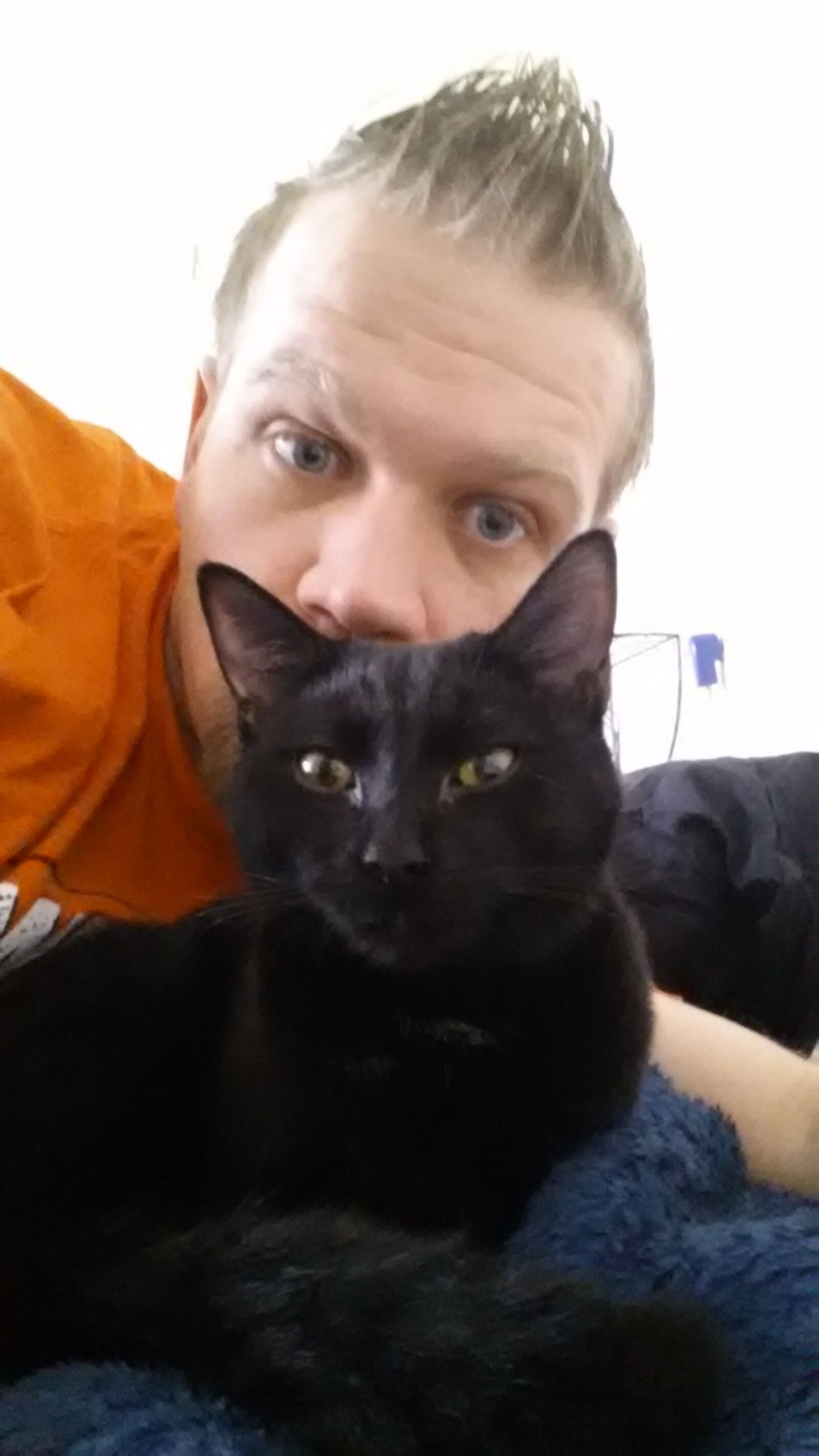 Samsung Galaxy S4 sample photo. Black, cat, crazy, cat photography