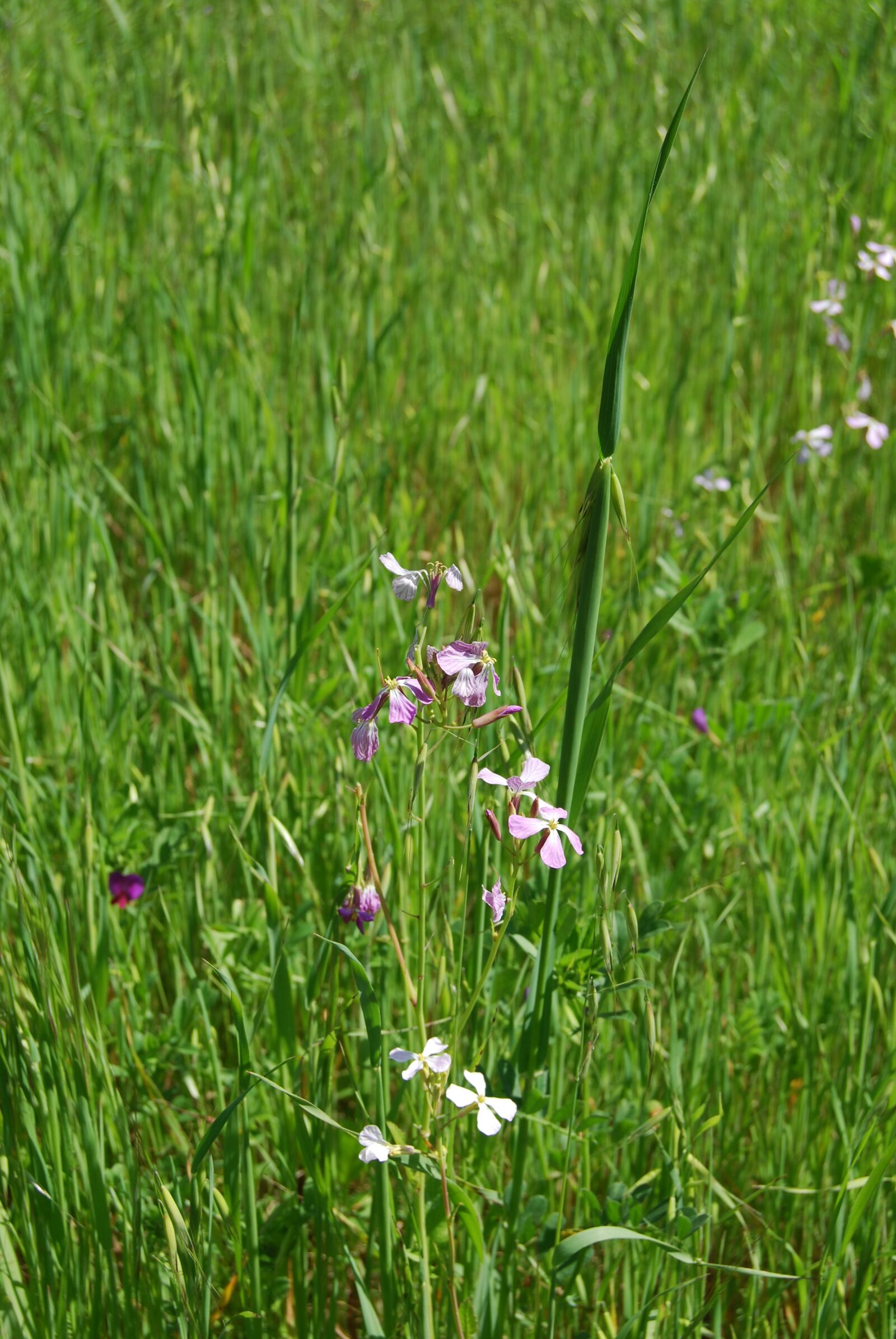 Nikon D40X sample photo. Tranquil, calm, scenery photography