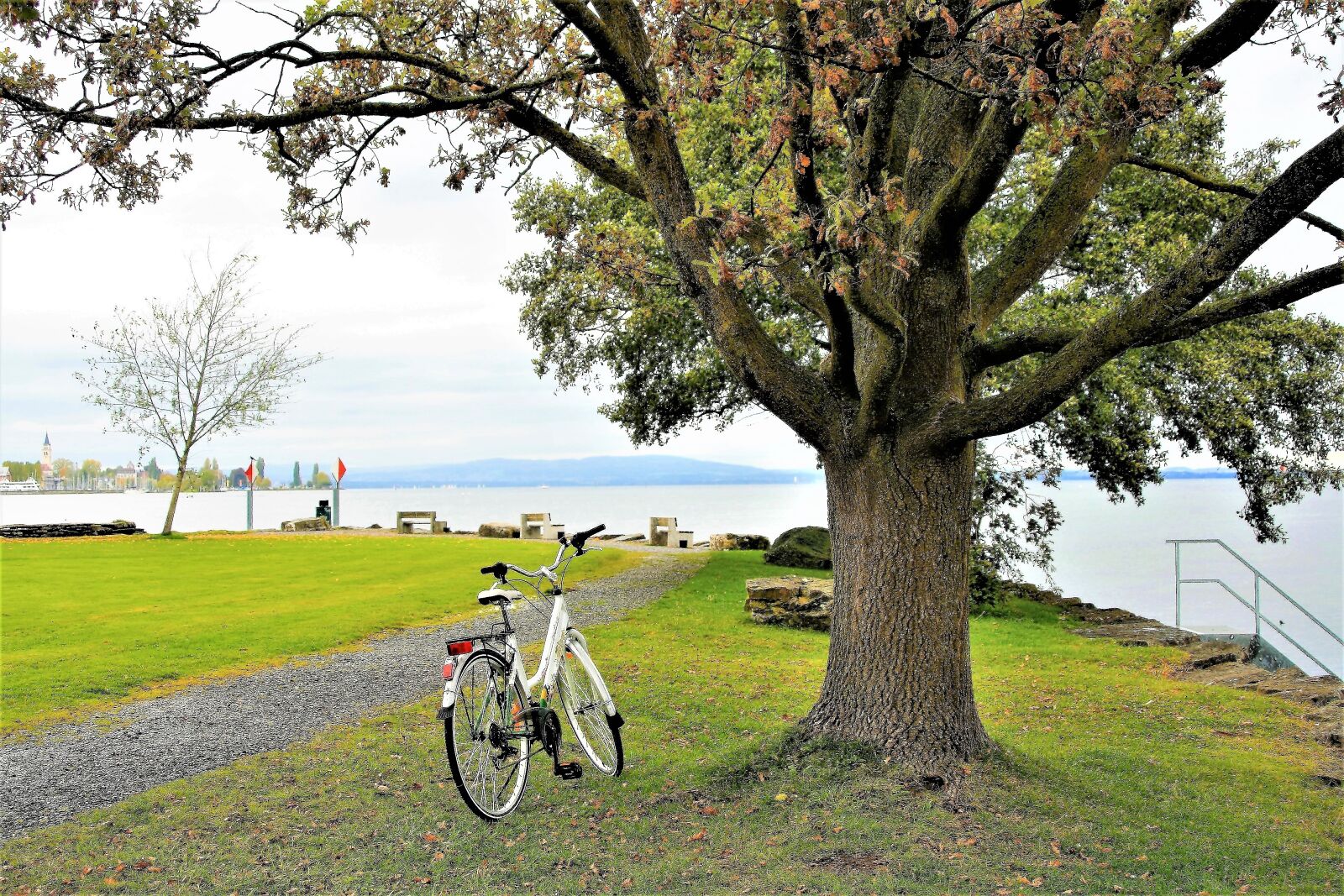 Canon EOS 400D (EOS Digital Rebel XTi / EOS Kiss Digital X) sample photo. Beach, tree, autumn photography