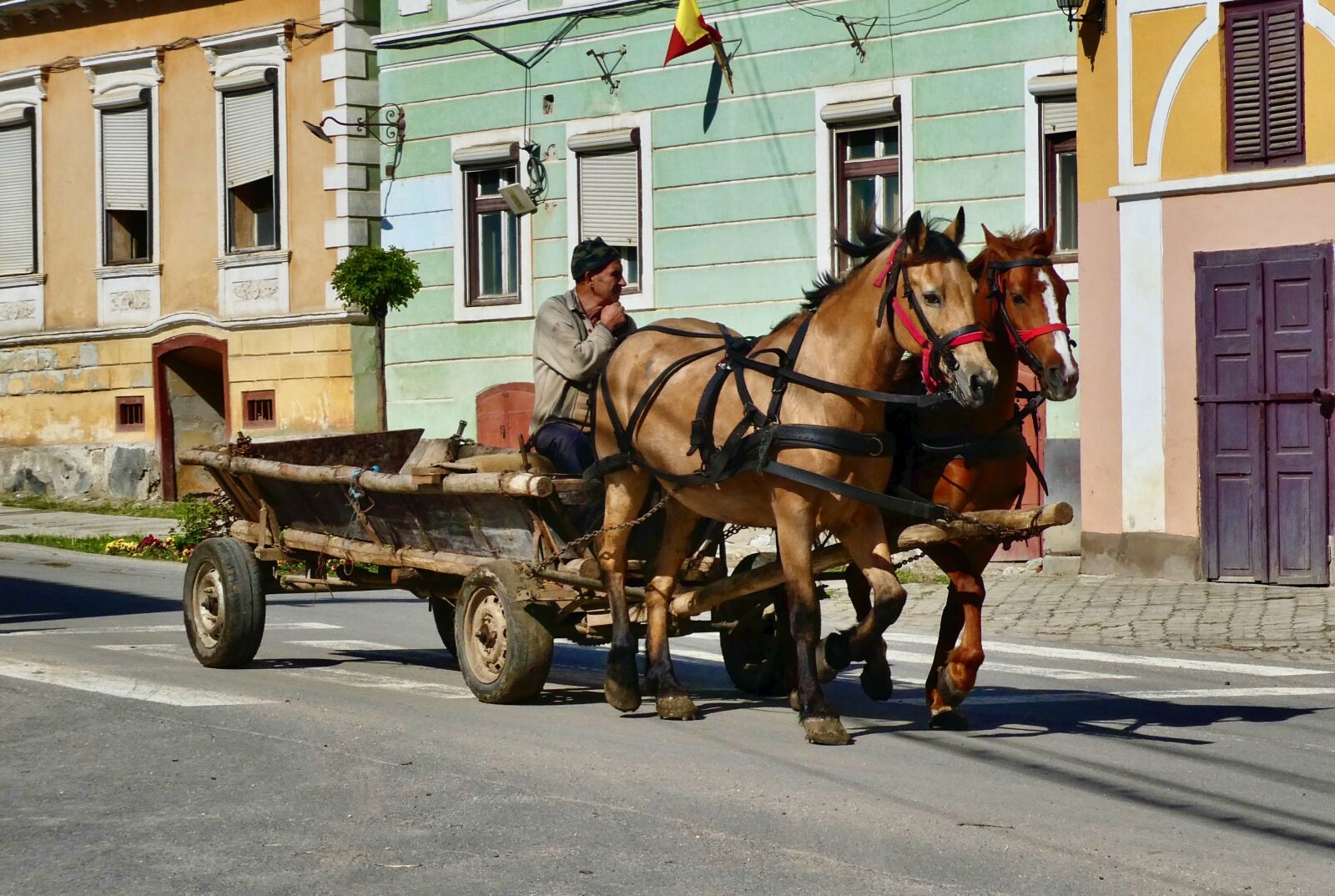 Panasonic Lumix DC-ZS70 (Lumix DC-TZ90) sample photo. Cart, wagon, horse photography