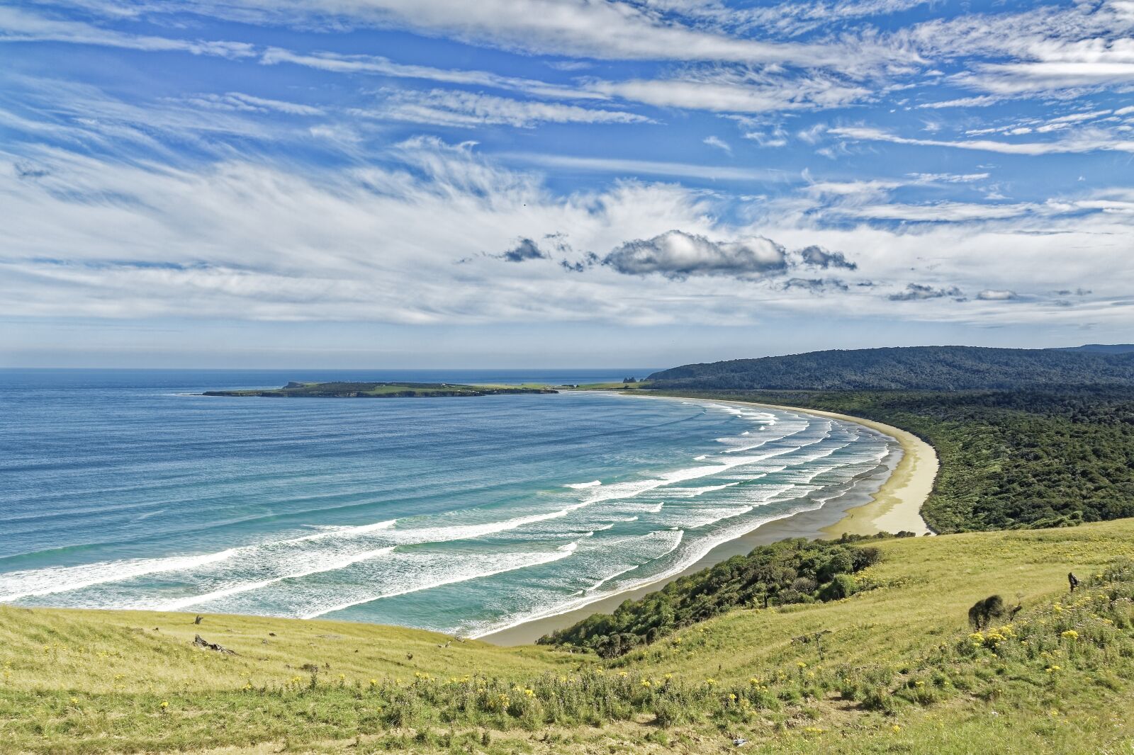 Nikon D500 sample photo. New zealand, oyster bay photography
