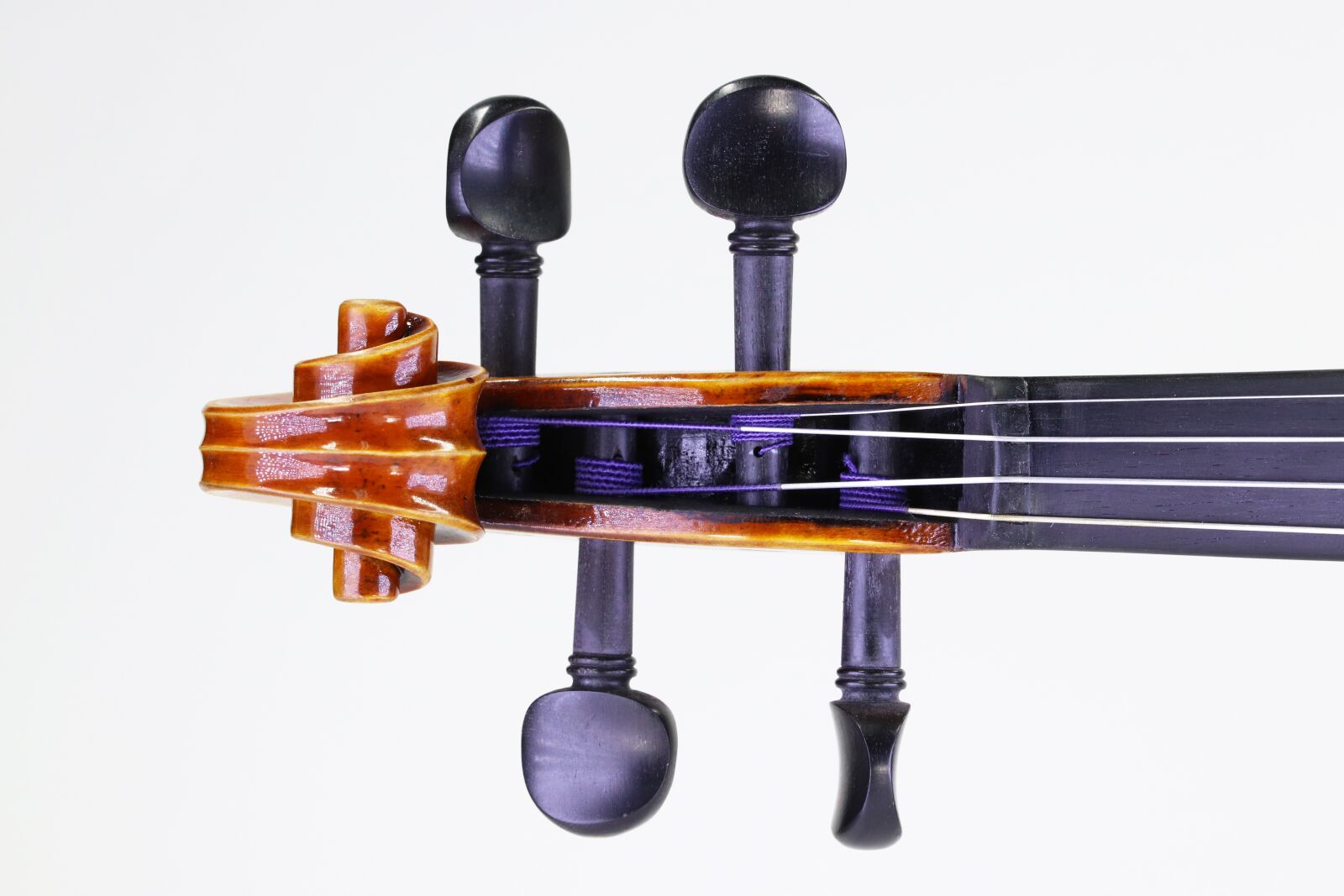 Canon EOS 800D (EOS Rebel T7i / EOS Kiss X9i) sample photo. Music, violin, instrument photography