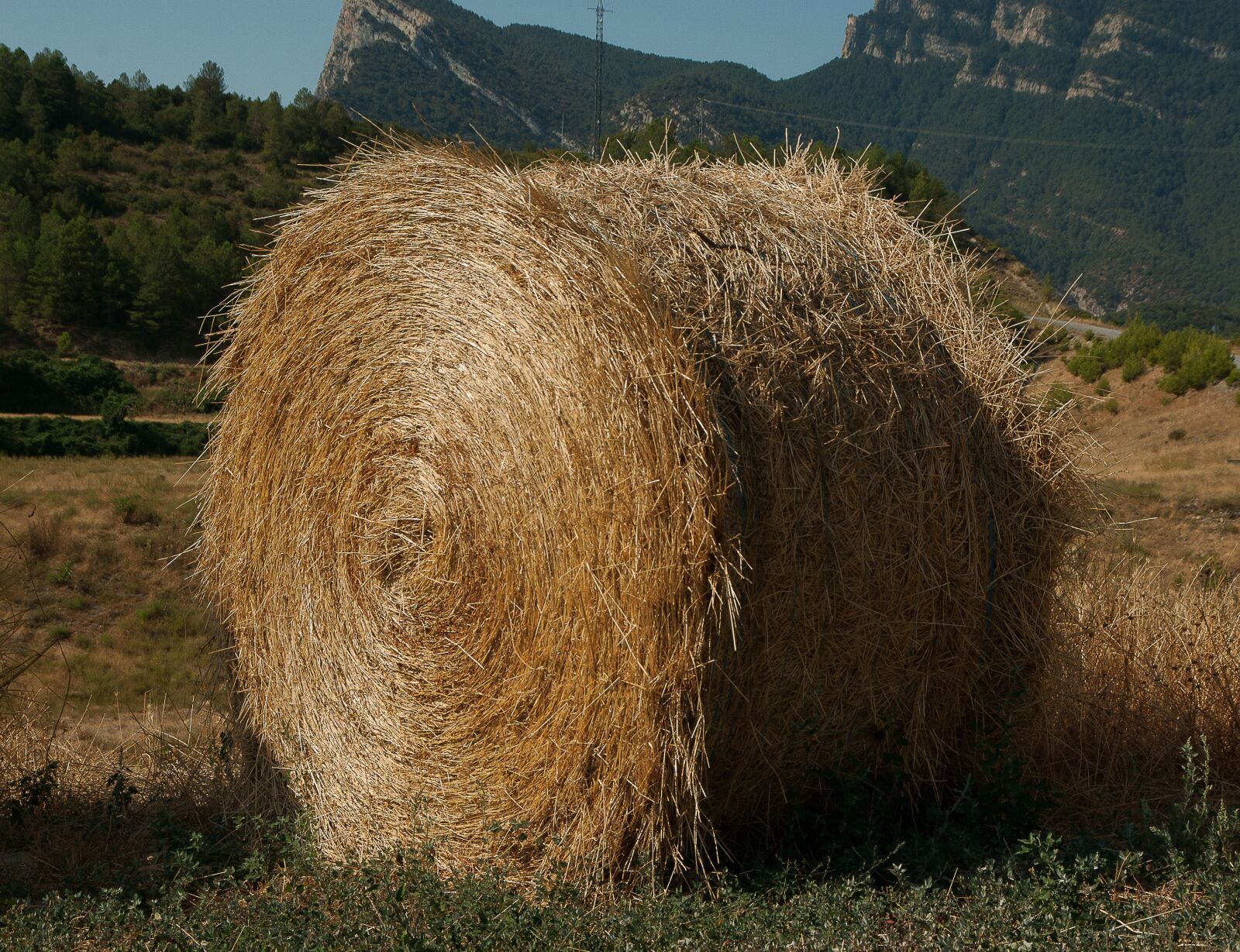Pentax K10D sample photo. Straw, livestock, forage photography