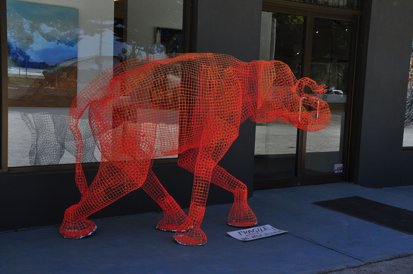 Nikon D90 sample photo. Elephant photography