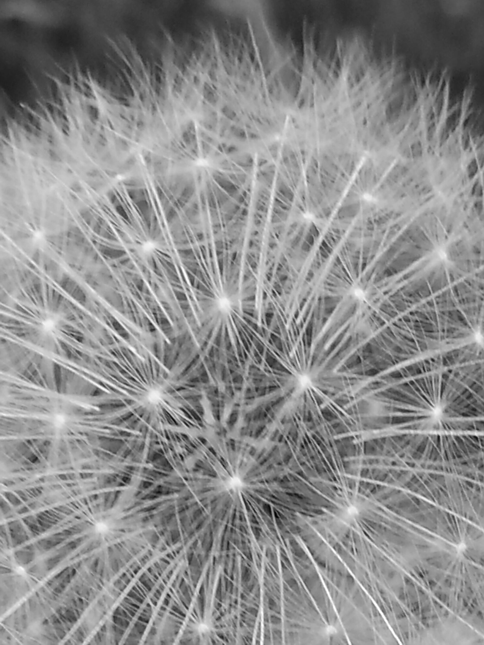 Samsung Galaxy S3 sample photo. Abstract, black, and, white photography