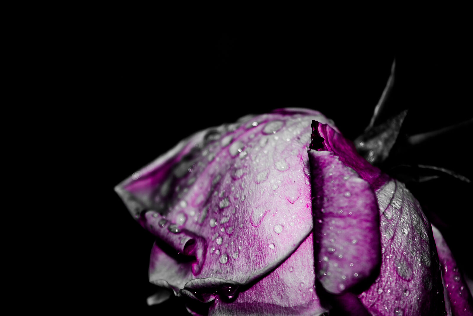 Nikon D5200 sample photo