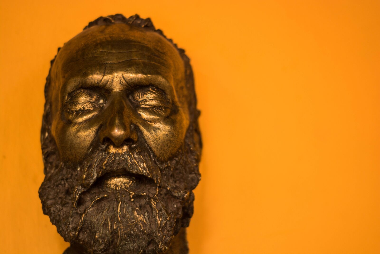 Nikon D5200 sample photo. Face, orange, people photography