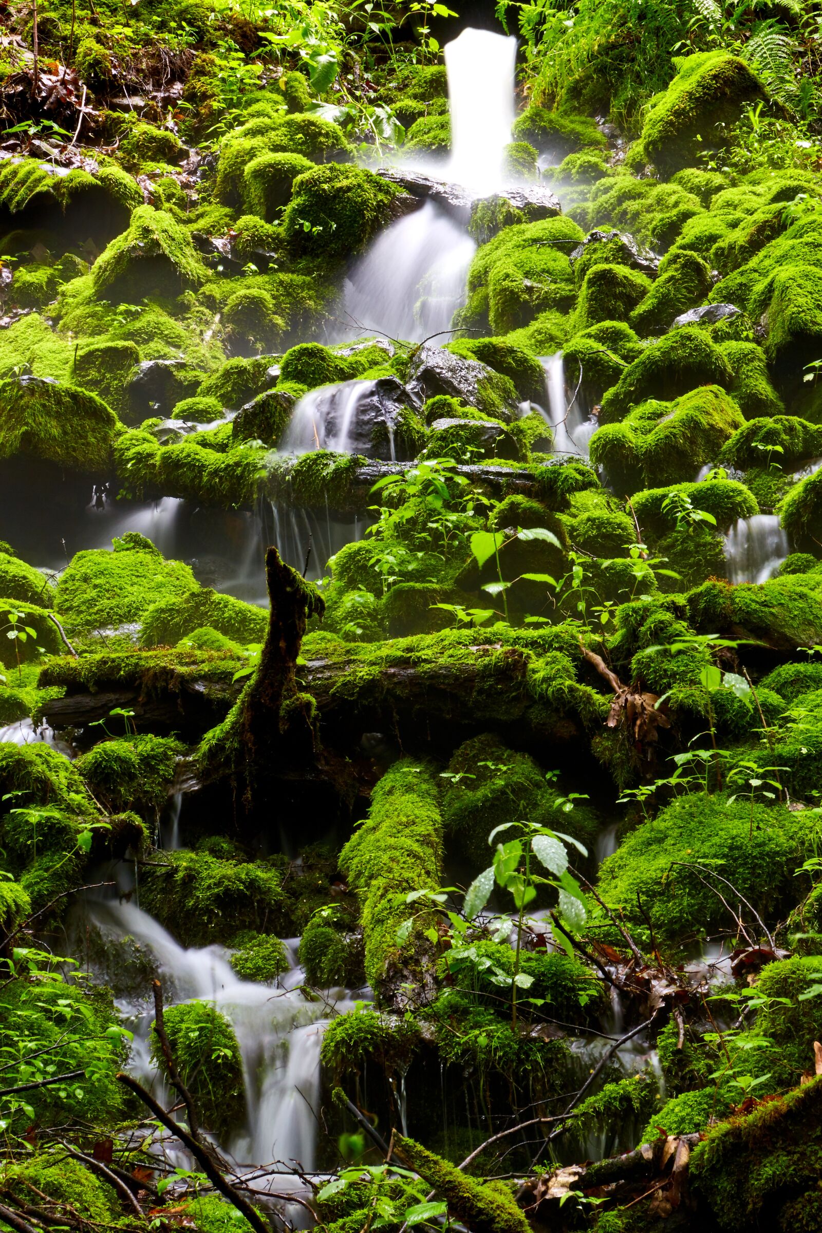 Canon EOS 5D Mark III sample photo. Green, water, running photography