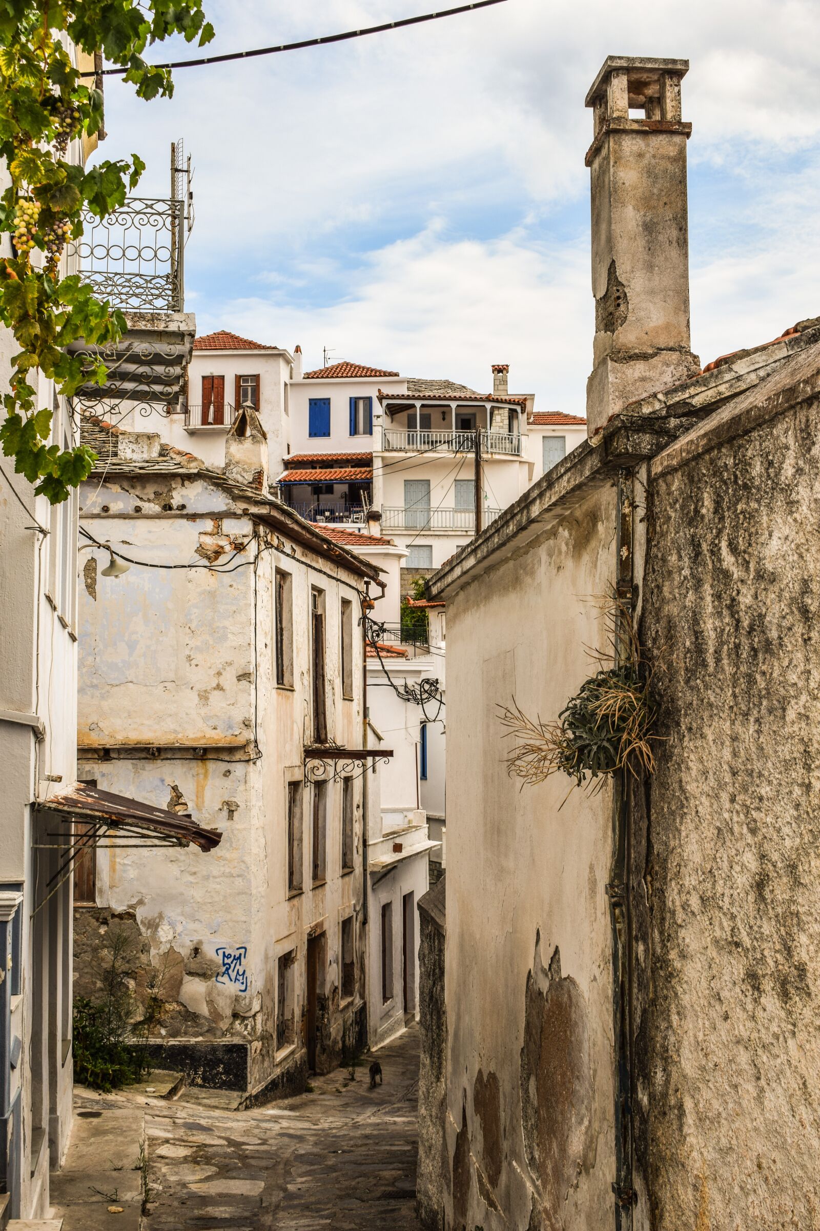 Nikon D3300 sample photo. Greece, skopelos, chora photography