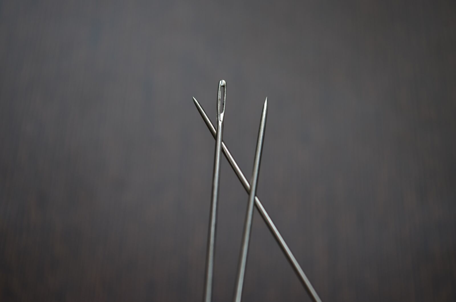 Nikon D5100 sample photo. Needles, head, pointed photography