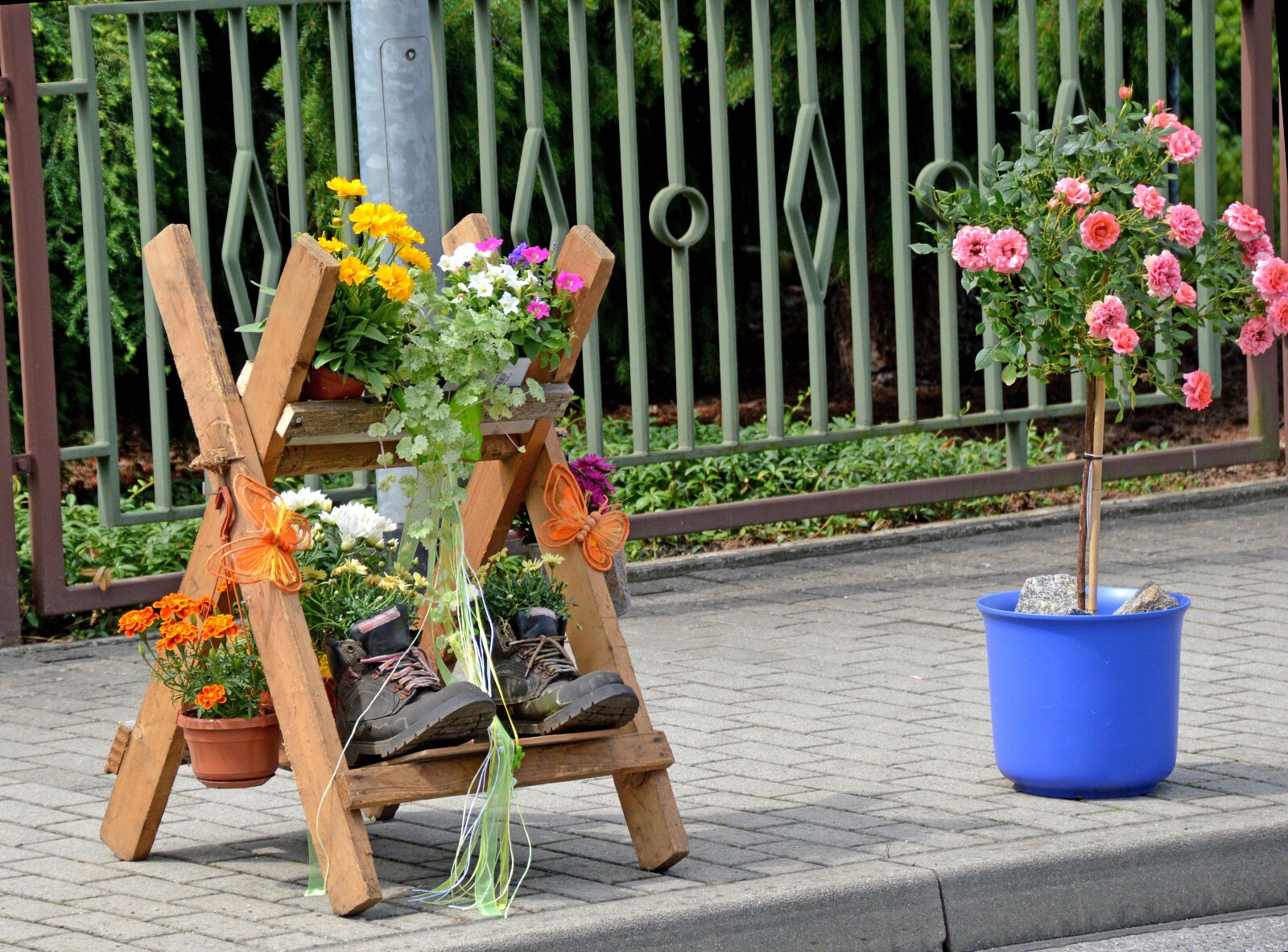 Nikon D3200 sample photo. Blumen, flowers, kreativ photography