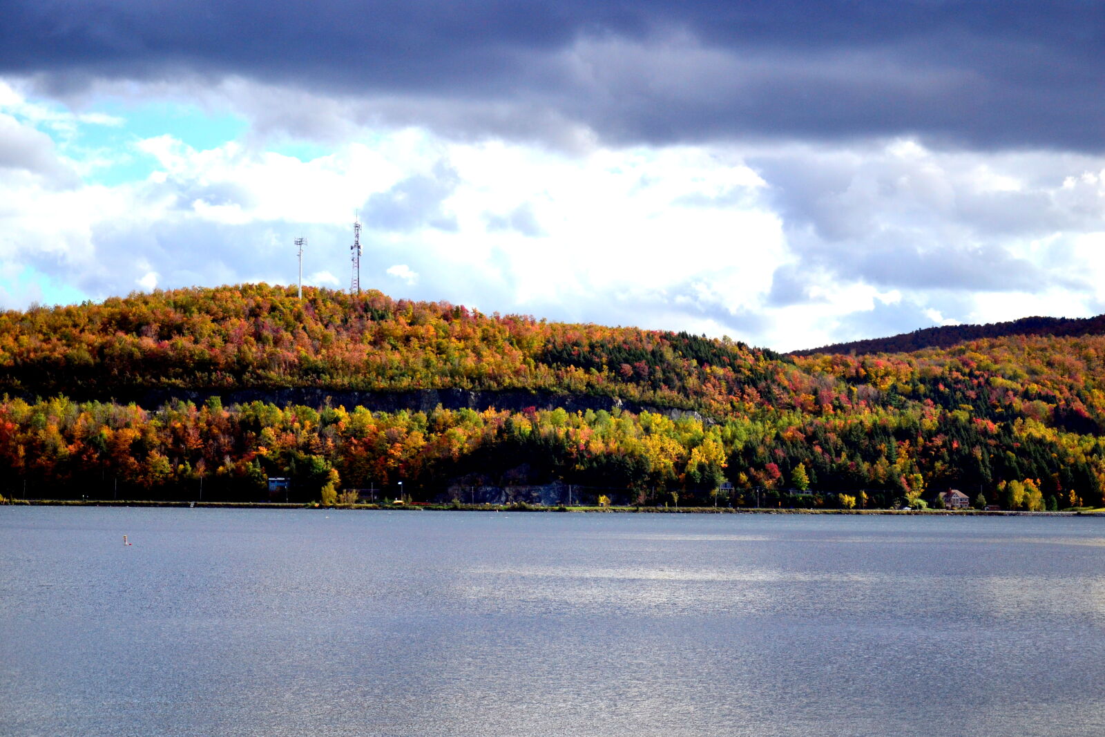 Nikon D3100 sample photo. Autumn, leaves, canada, fall photography