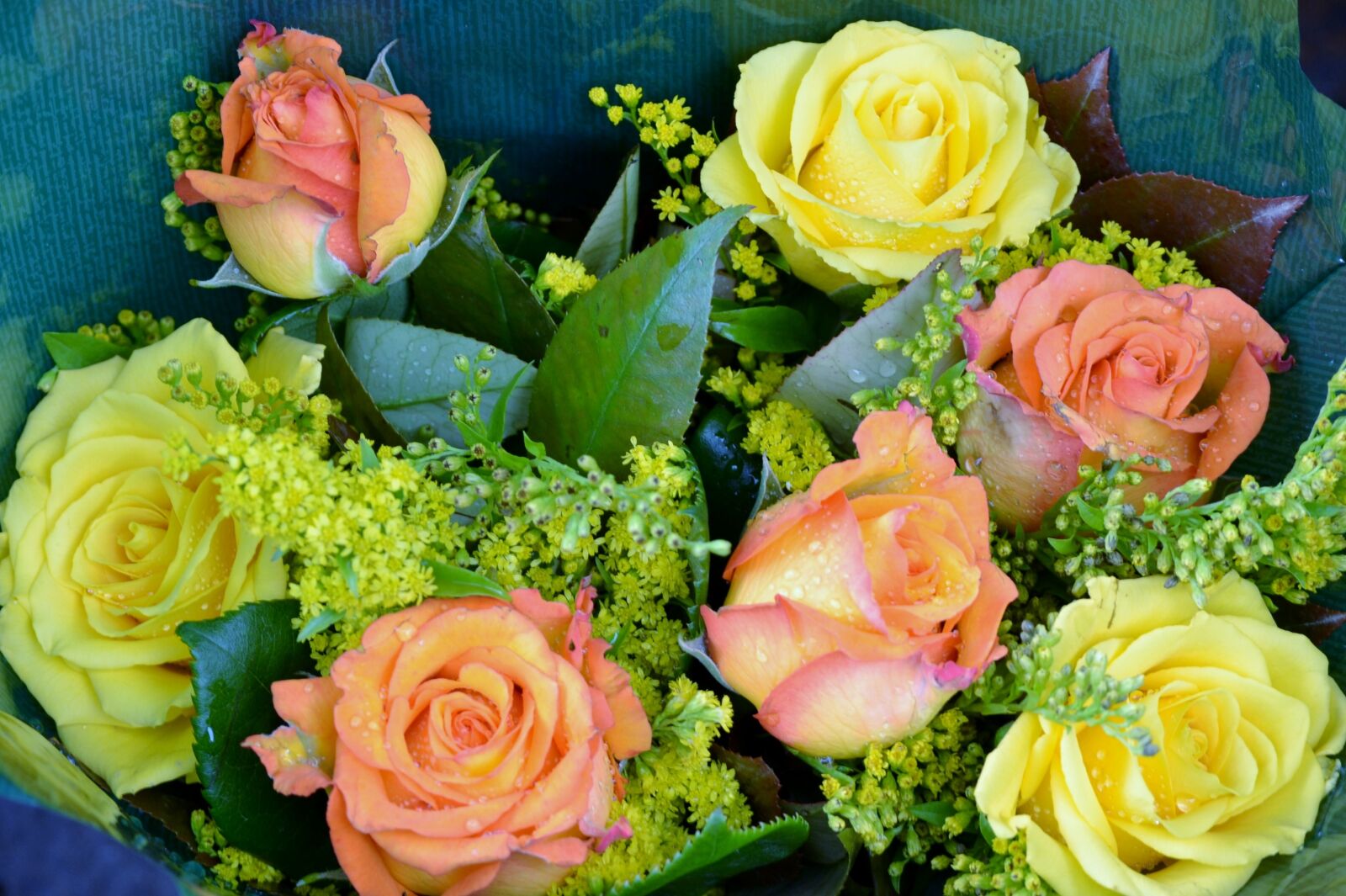 Nikon D3100 sample photo. Rose, roses, bouquet photography