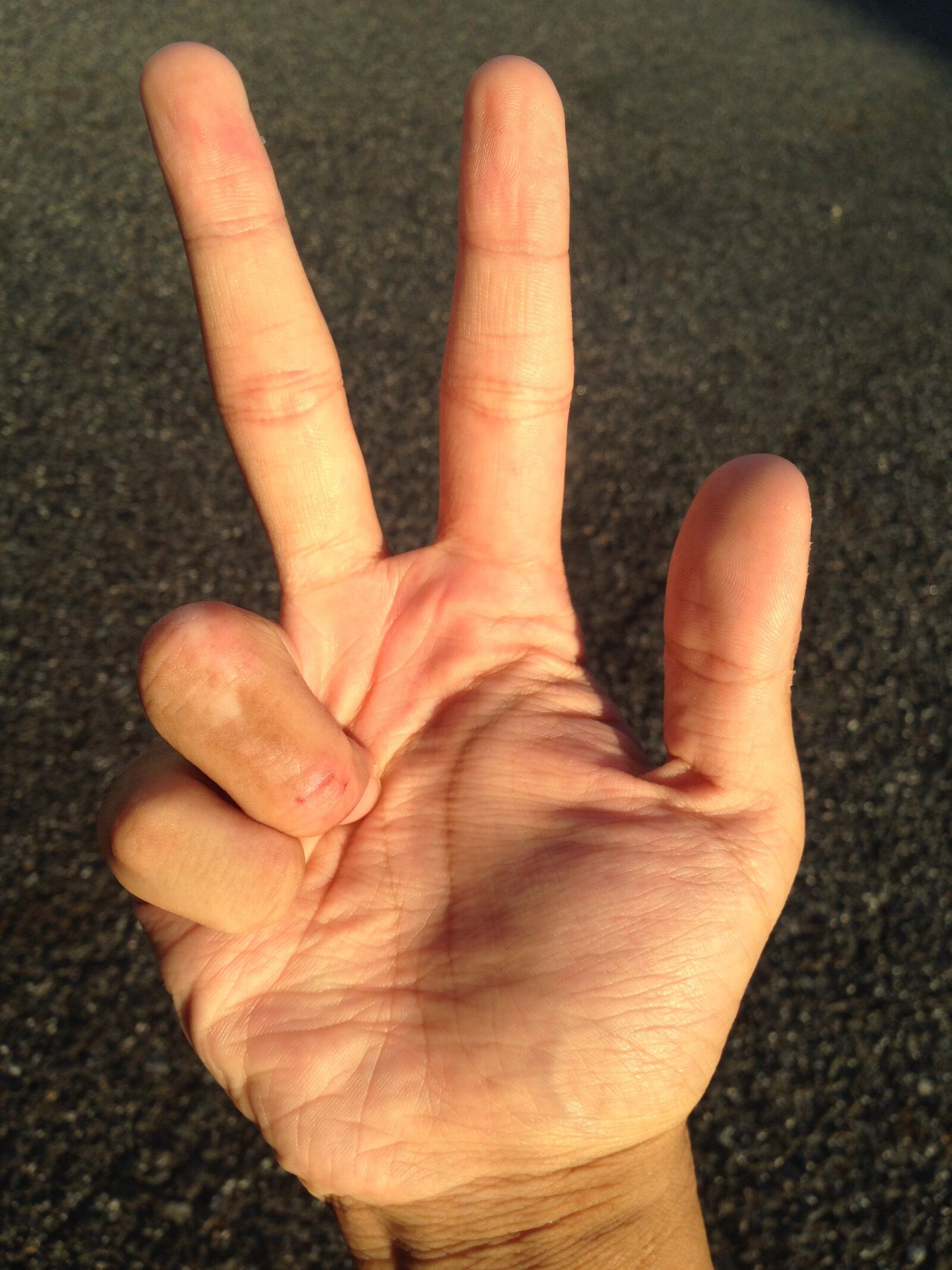 iPhone 5 back camera 4.12mm f/2.4 sample photo. Palm, hand, finger photography