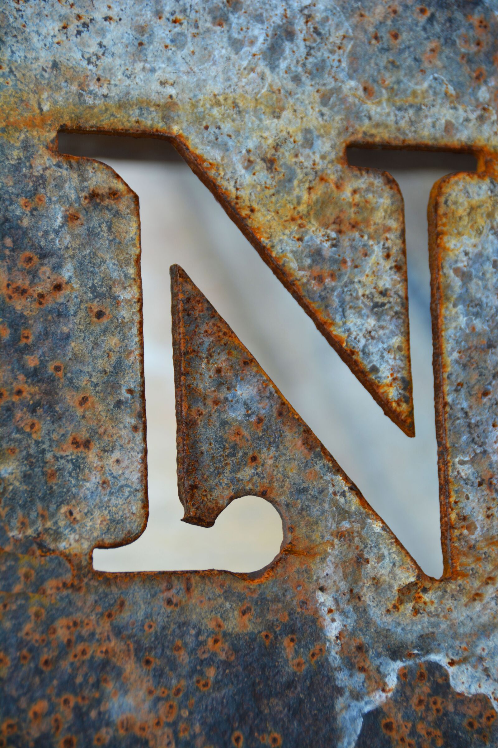 Nikon D5200 sample photo. Letter n, n, alphabet photography