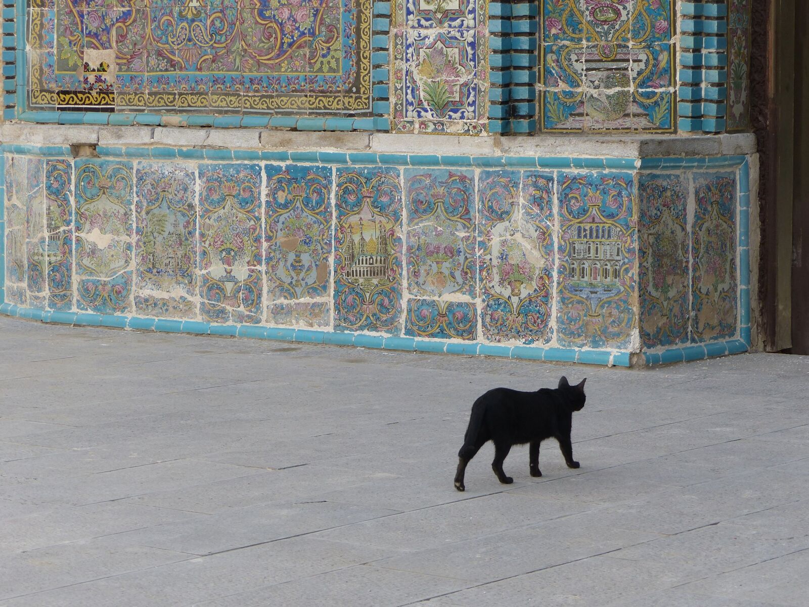 Panasonic Lumix DMC-FZ200 sample photo. Iran, cat, black photography