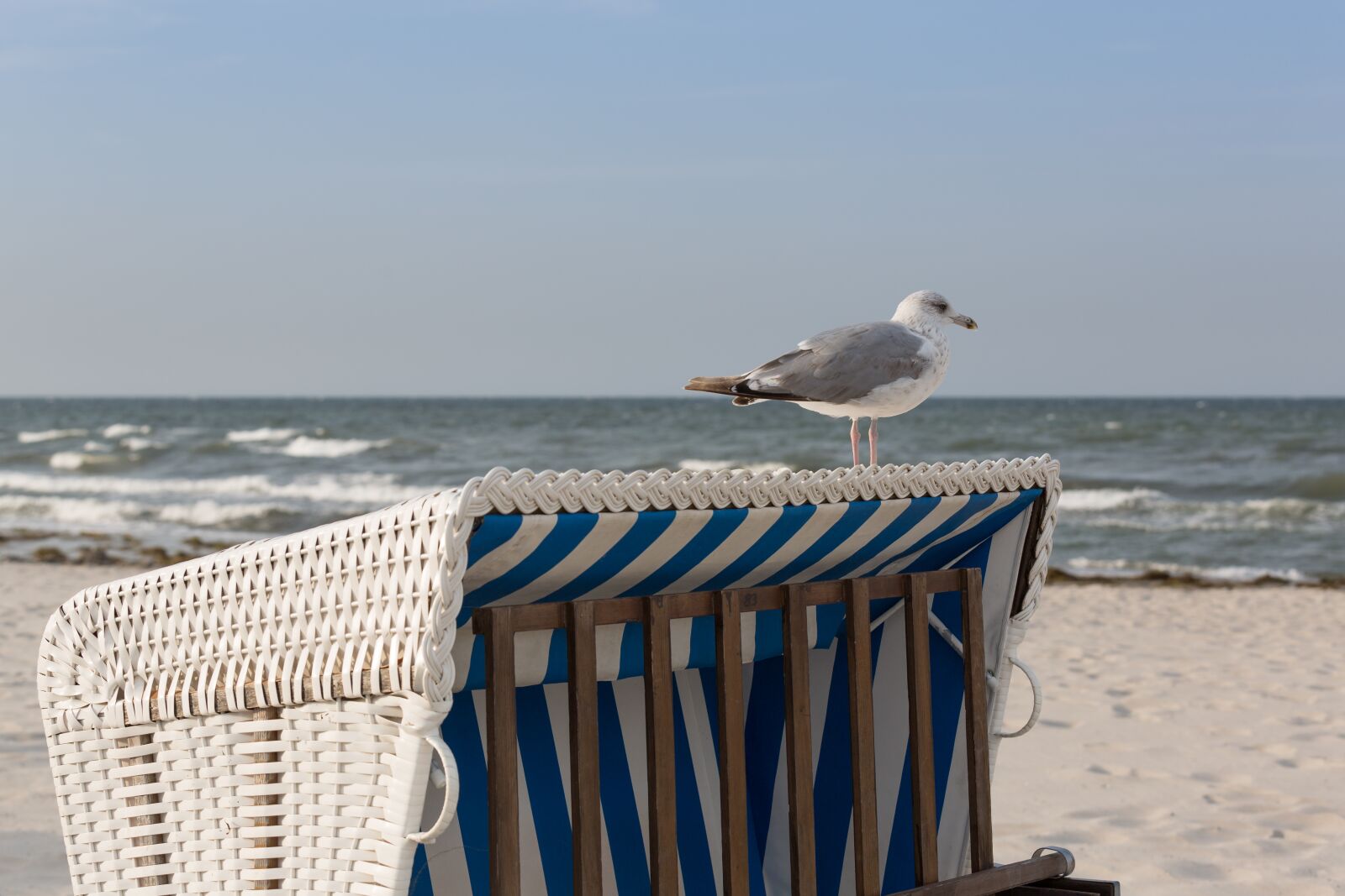 Canon EOS 5D Mark III sample photo. Baltic sea, beach chair photography