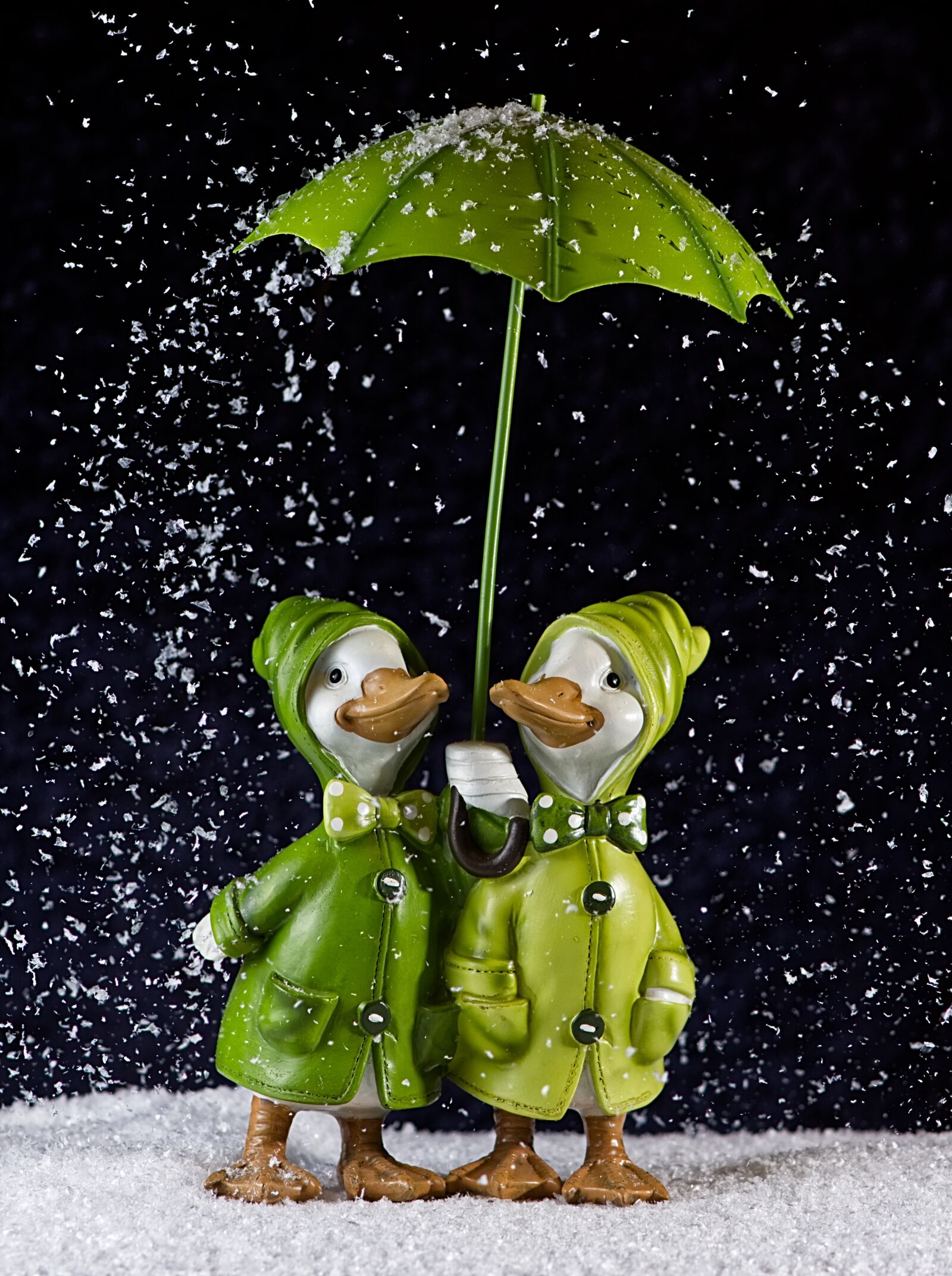Nikon D7200 sample photo. Geese, pair, snow photography
