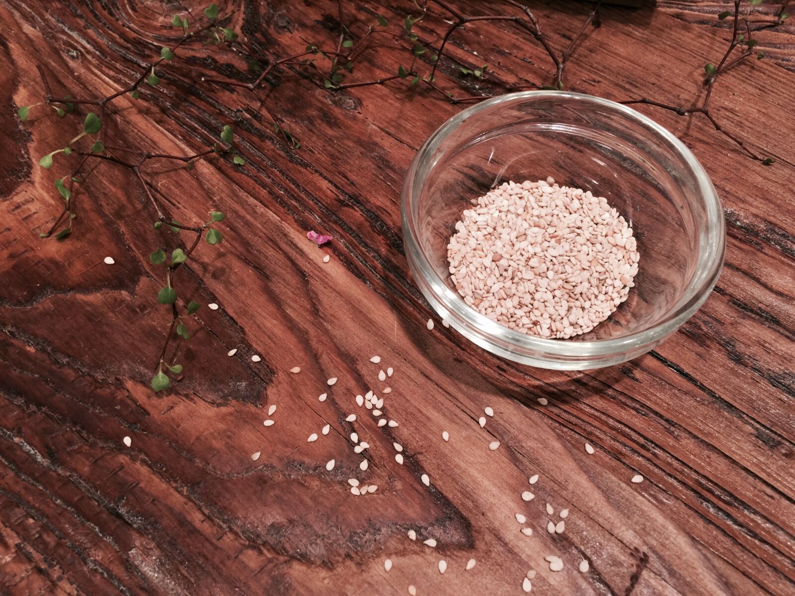 iPhone 6 Plus back camera 4.15mm f/2.2 sample photo. Sesame, wood, pattern photography