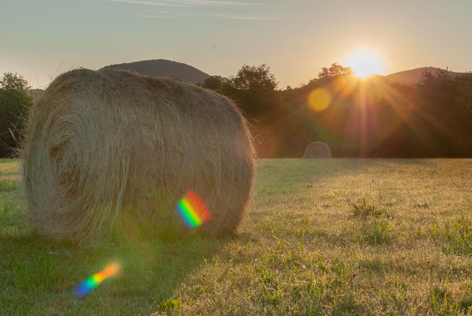 Nikon D80 sample photo. Fields, field, prairie photography