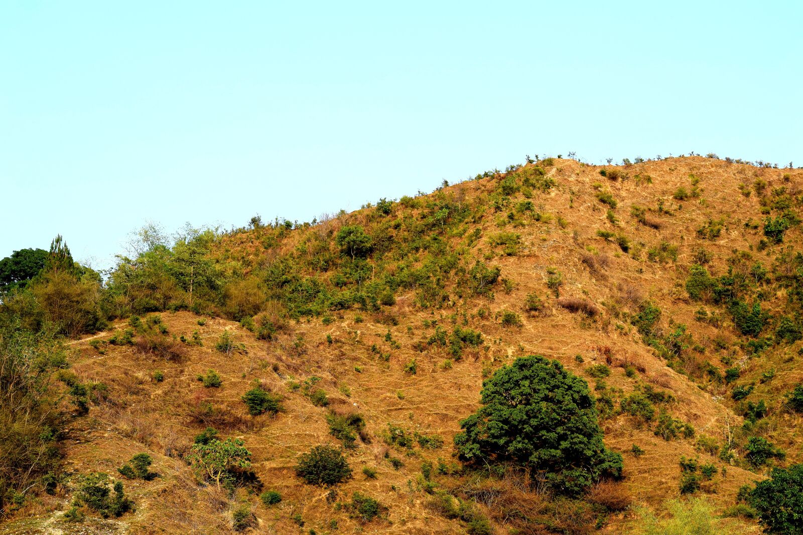 Nikon D3300 sample photo. Hill, landscape, nature photography