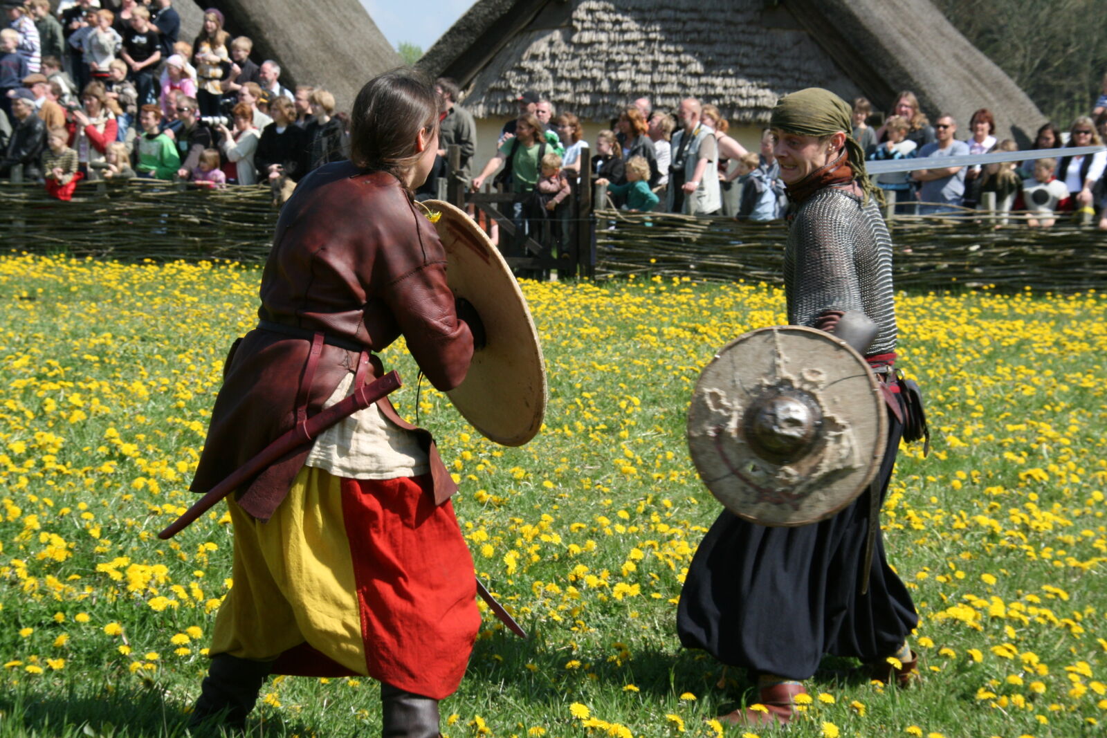Sigma 18-200mm f/3.5-6.3 DC OS sample photo. Vikings photography