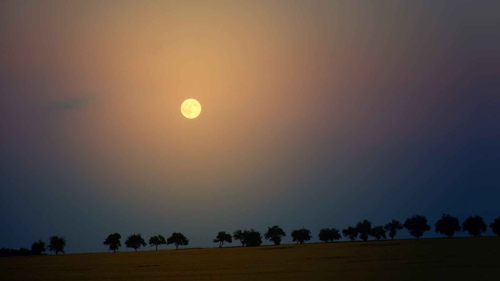 Sony a7 + Sony DT 50mm F1.8 SAM sample photo. Moon, night, trees photography
