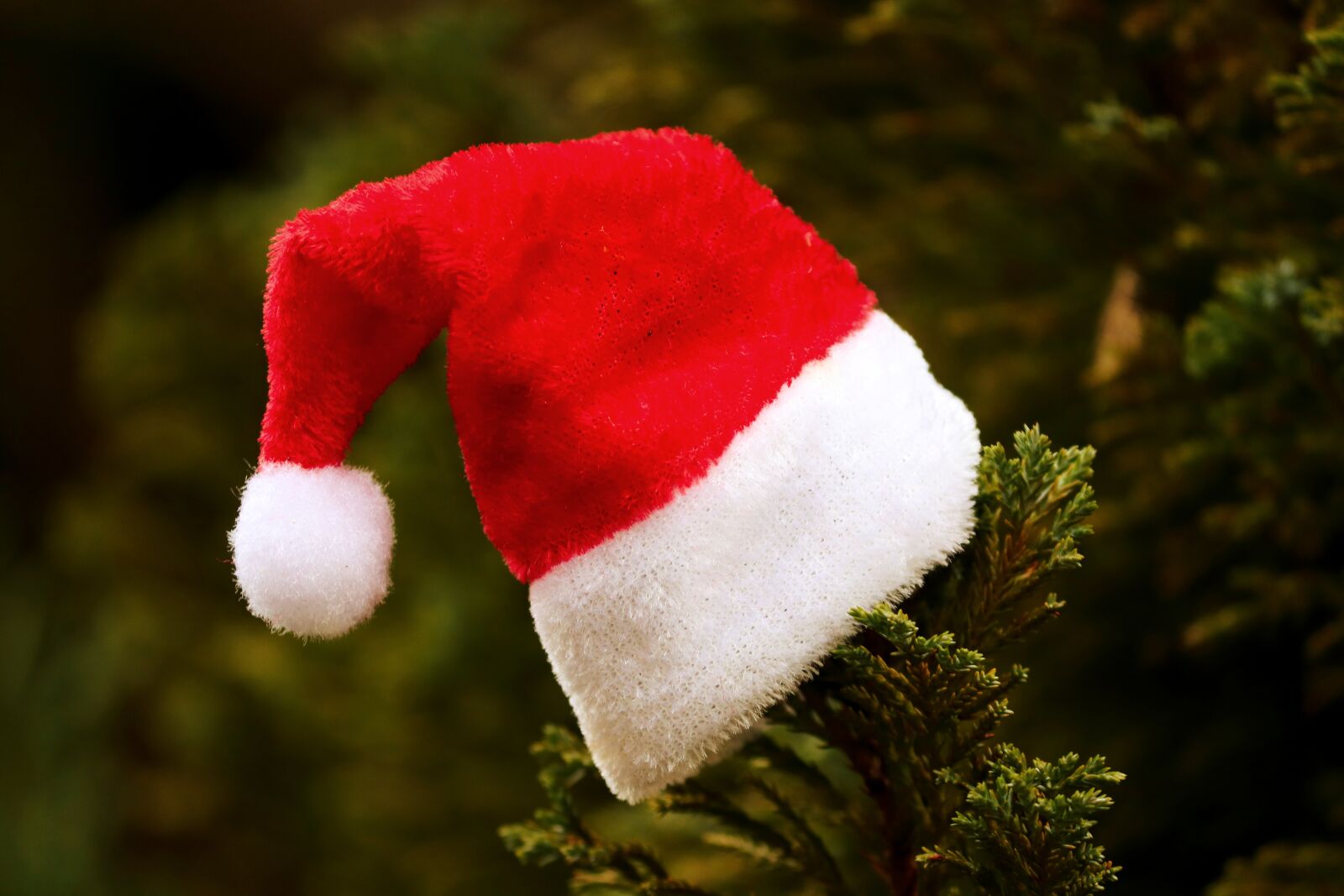 Canon EOS 200D (EOS Rebel SL2 / EOS Kiss X9) sample photo. Santa hat, fabric, christmas photography