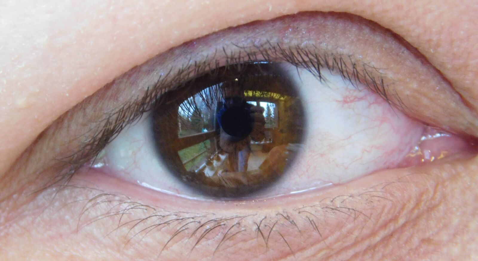 Nikon Coolpix L840 sample photo. Eye, photographer, camera photography