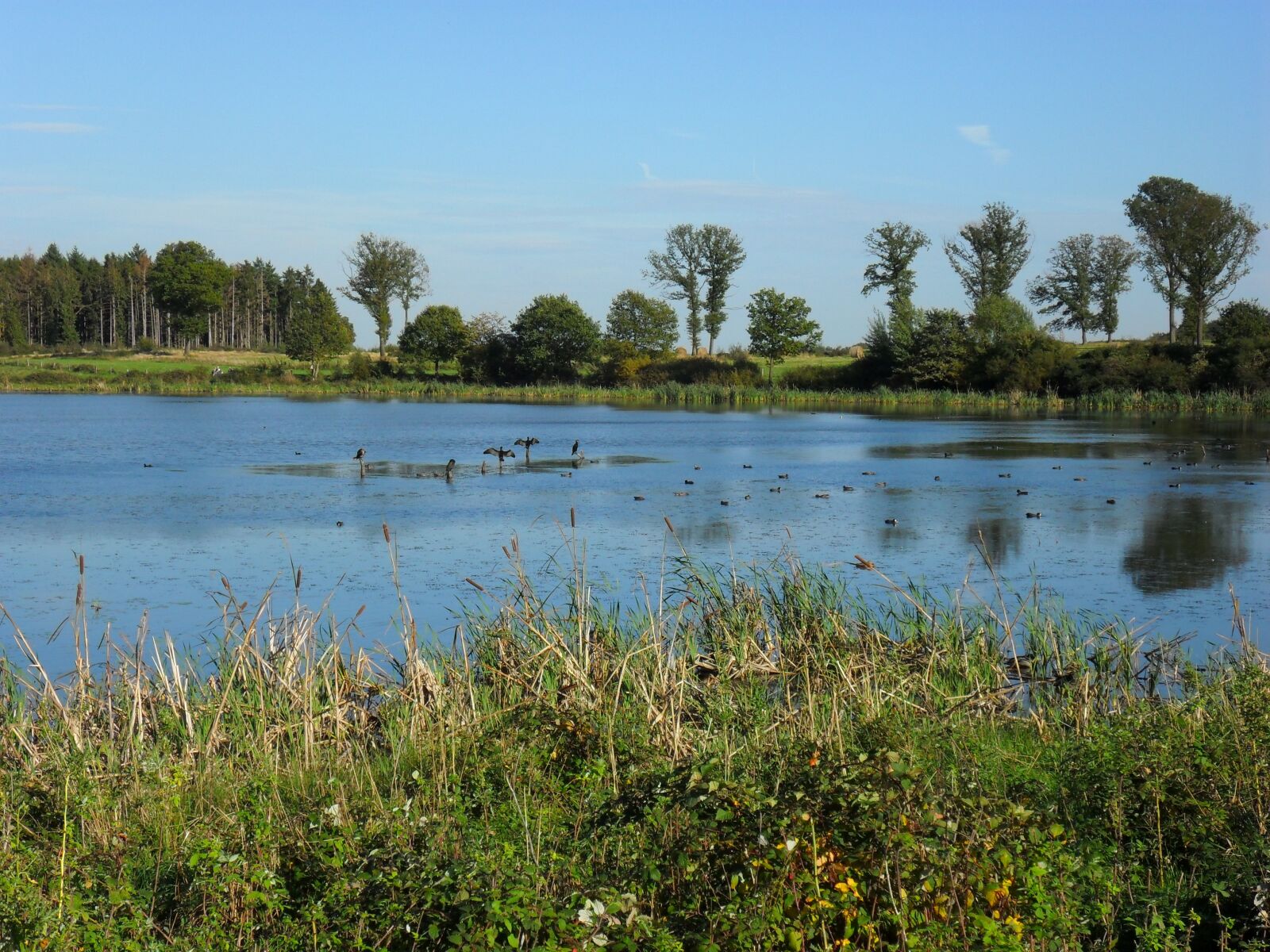 Samsung ES65, ES67 / VLUU ES65, ES67 /  SL50 sample photo. Rodder maar, brohltal, landscape photography