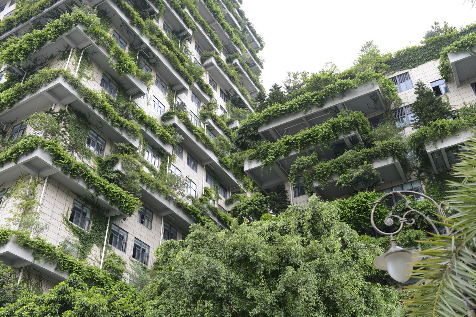 Nikon D800 sample photo. Tall buildings, china, city photography