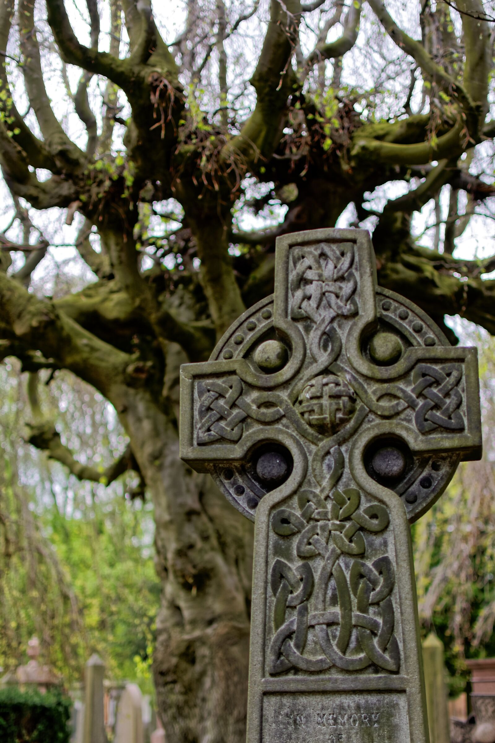Nikon D90 sample photo. Dean's, garden, cemetery photography