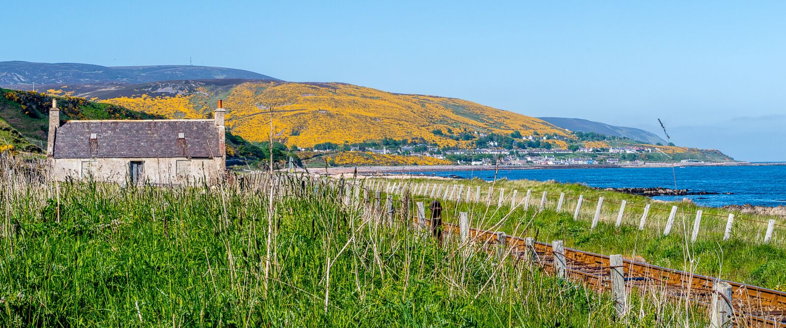 Pentax K-50 sample photo. Landscape, sea, gorse photography