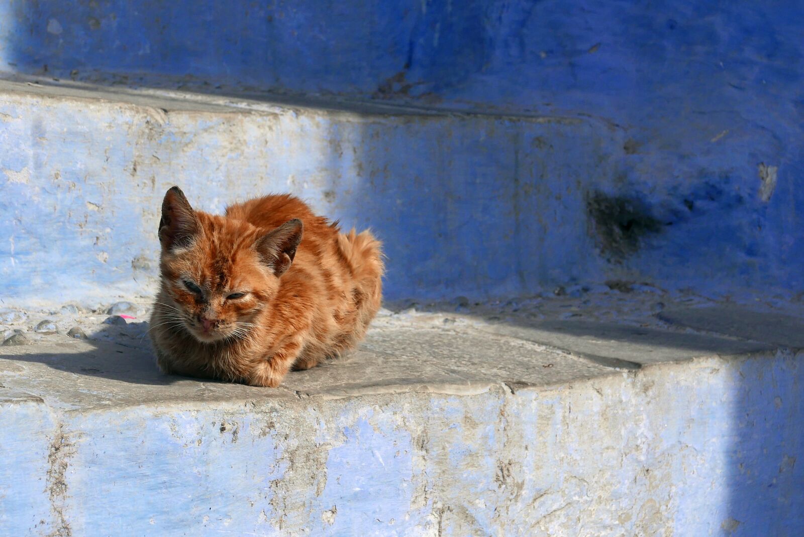 Panasonic Lumix DMC-LX100 sample photo. Blue, morocco, tourism photography