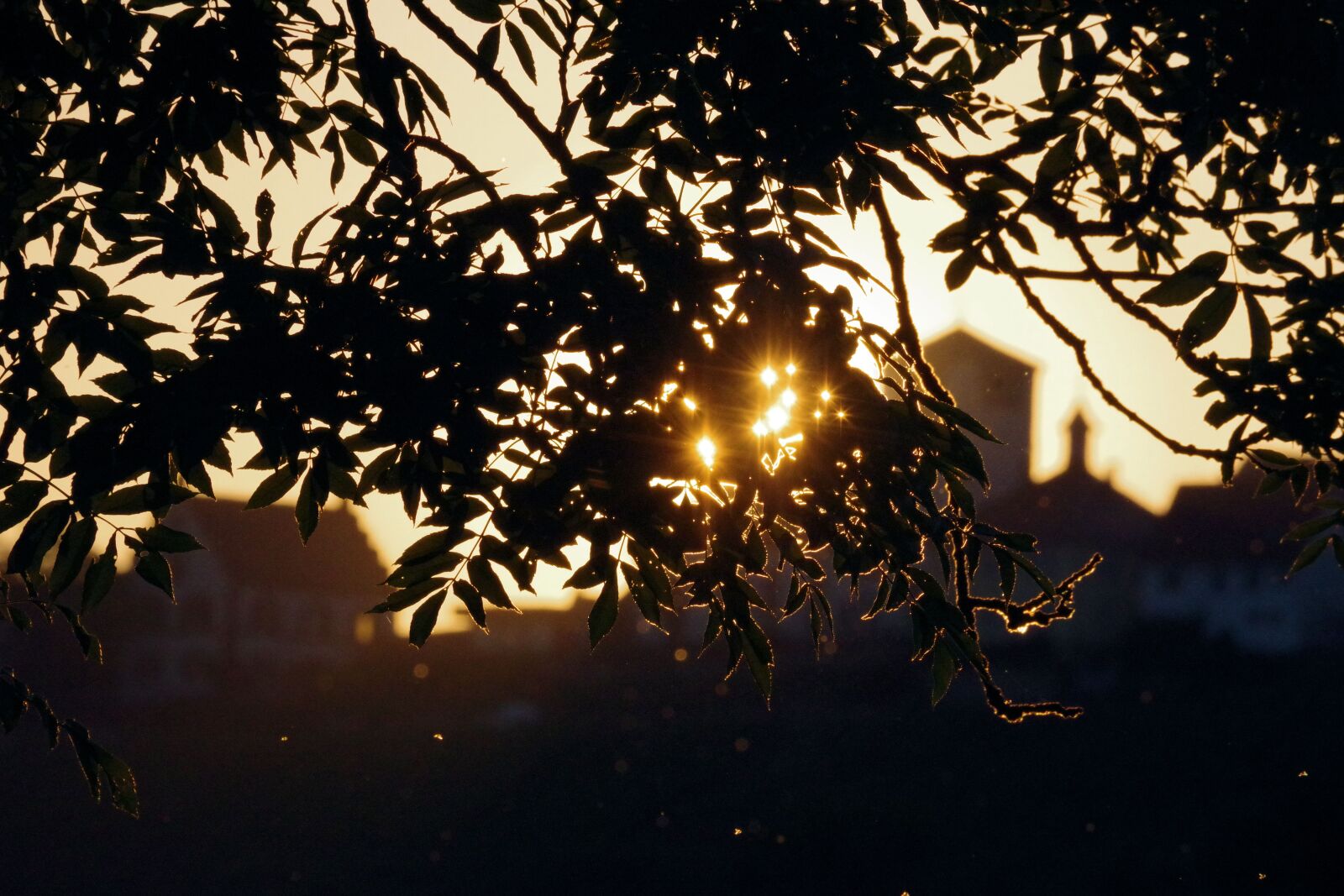 Pentax K-70 sample photo. Abendstimmung, sunbeam, sunset photography
