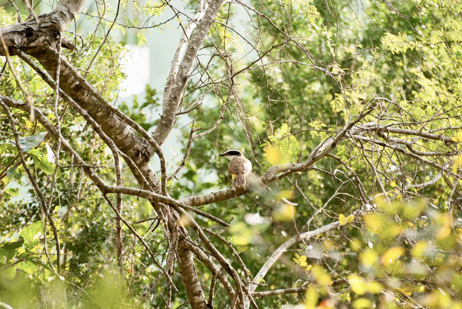 Nikon D3000 sample photo