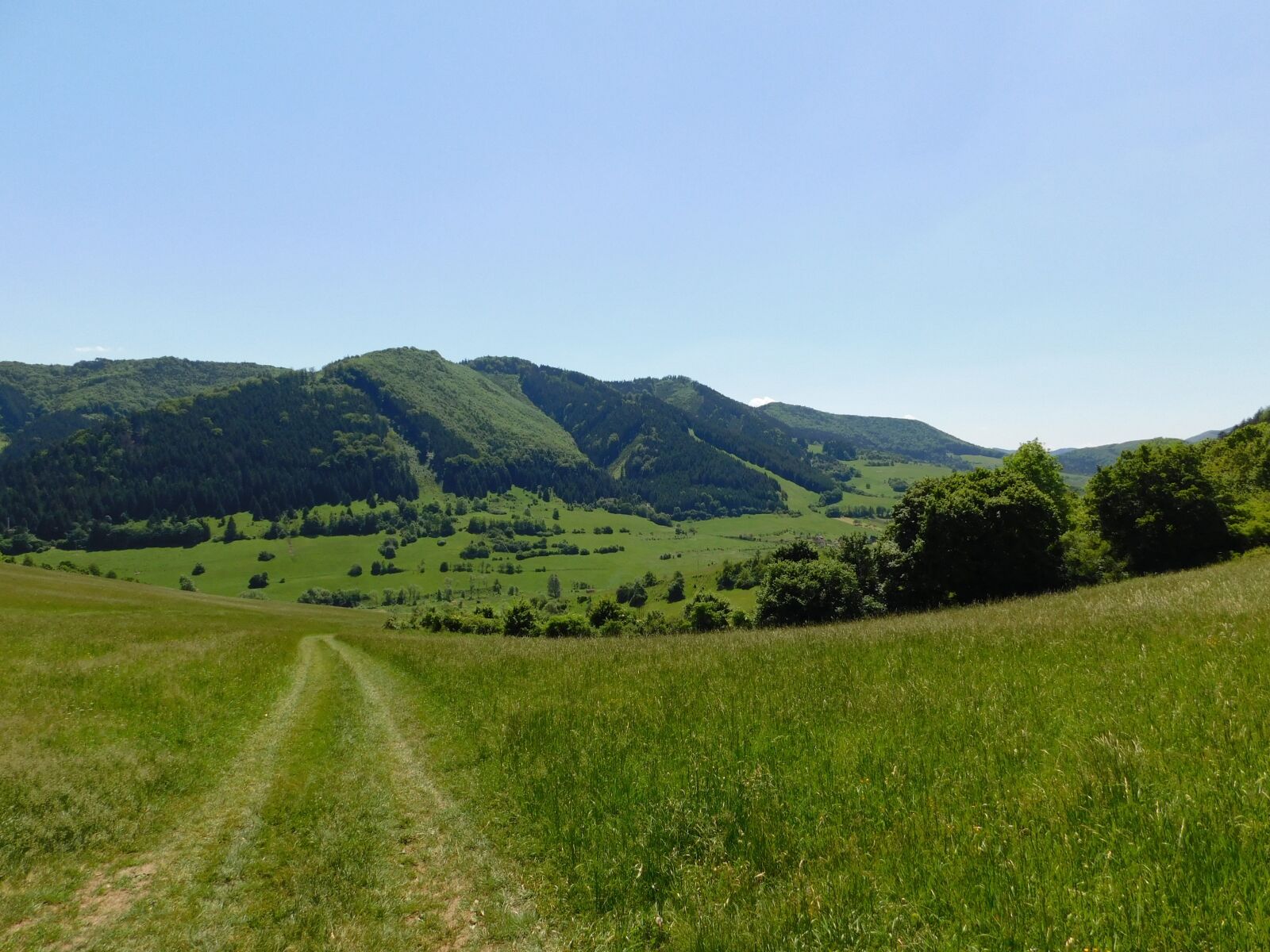 Nikon Coolpix B500 sample photo. Country, slovakia, forests photography