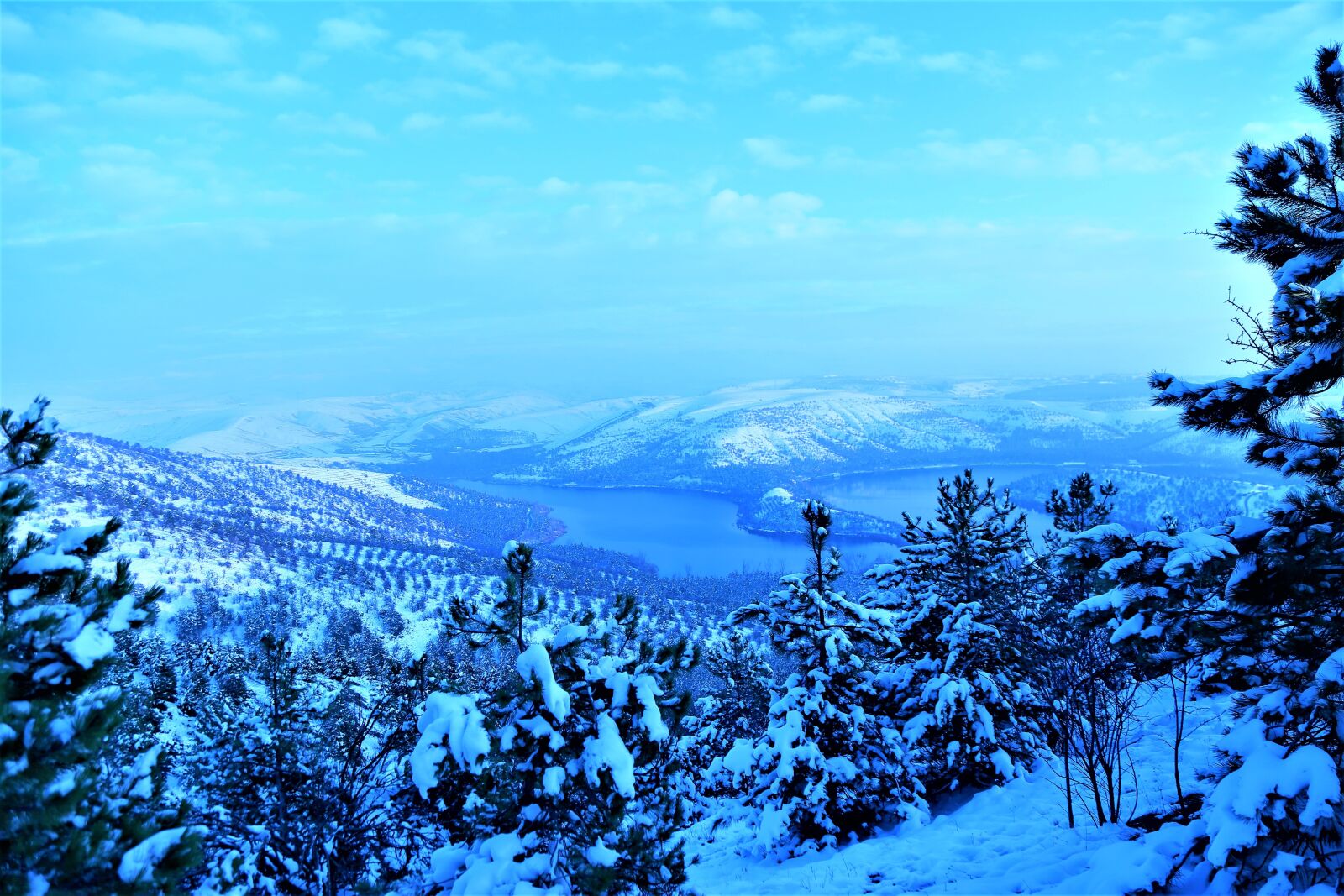 Canon EF 24-105mm F4L IS USM sample photo. Snow, winter, cold photography