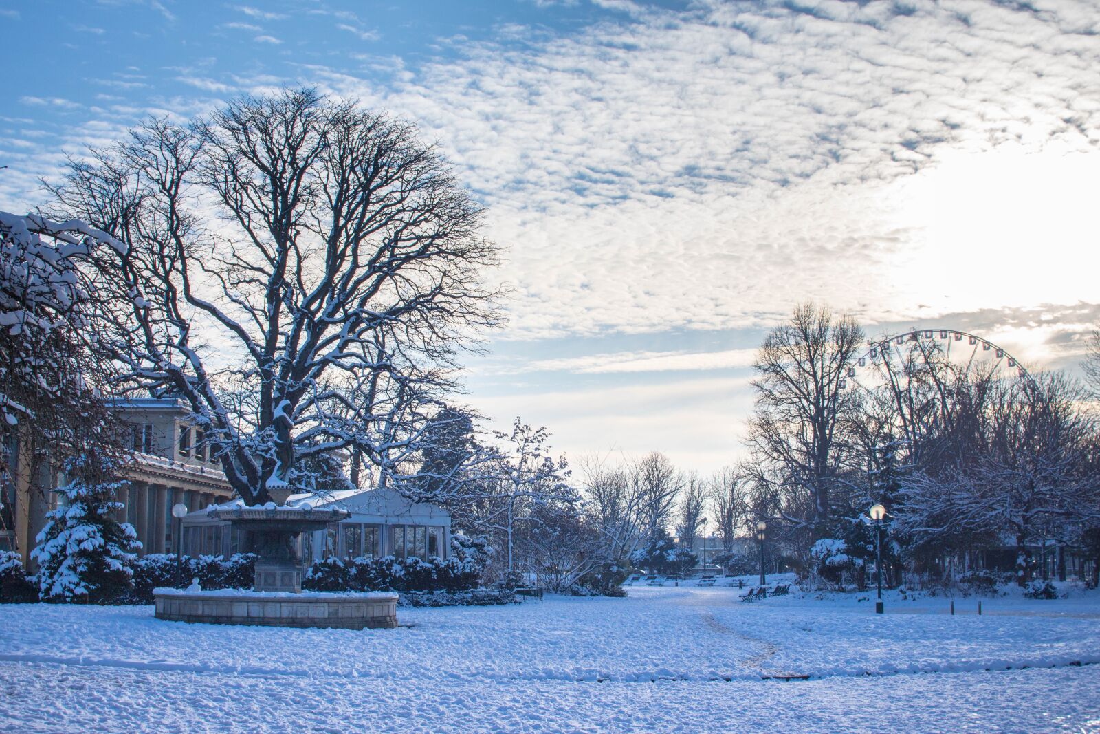 Canon EOS 650D (EOS Rebel T4i / EOS Kiss X6i) sample photo. Snow, cold, nature photography