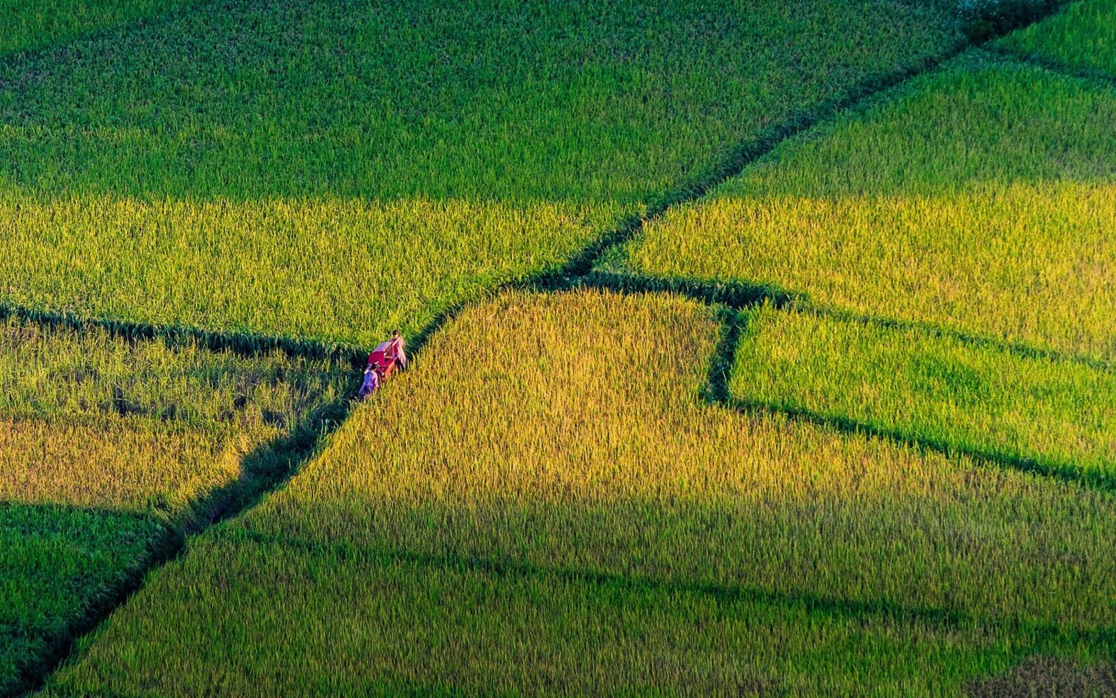 Nikon D5100 sample photo. Landscape, landscape vietnam, mountains photography