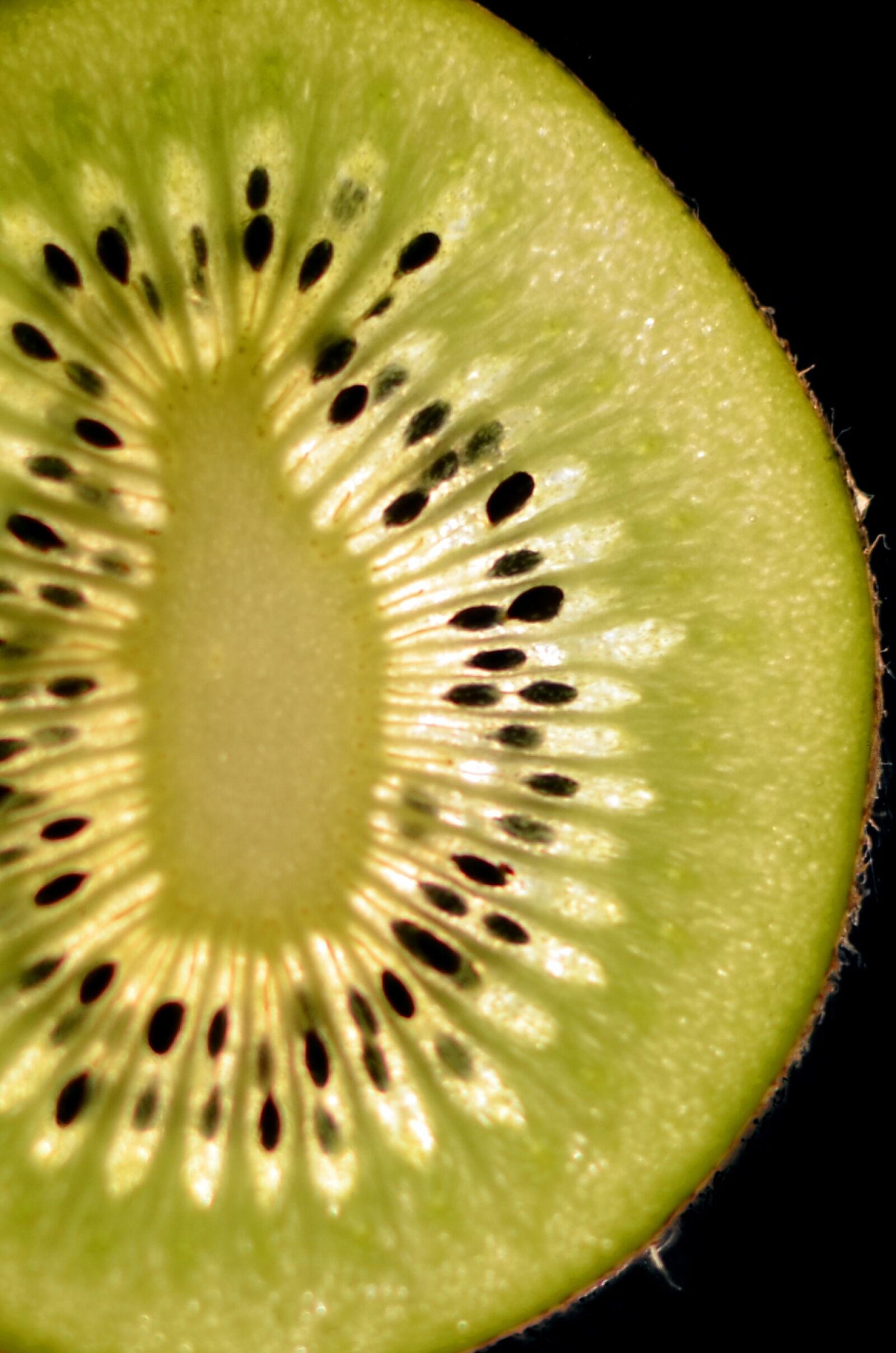 Nikon D5100 sample photo. Kiwi, green, healthy photography