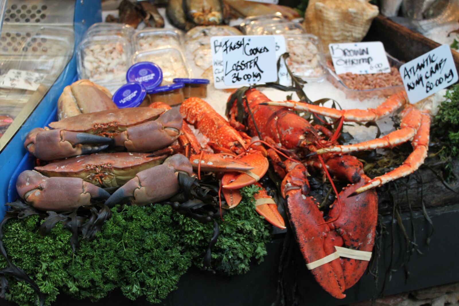Canon EOS 500D (EOS Rebel T1i / EOS Kiss X3) sample photo. Market, london, seafood photography