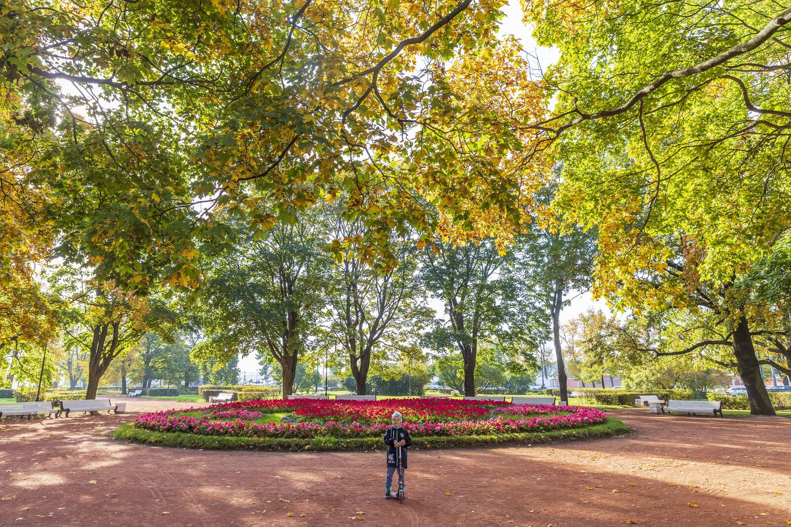 Canon EOS 6D + Canon EF 24-70mm F2.8L II USM sample photo. Autumn, st petersburg, russia photography
