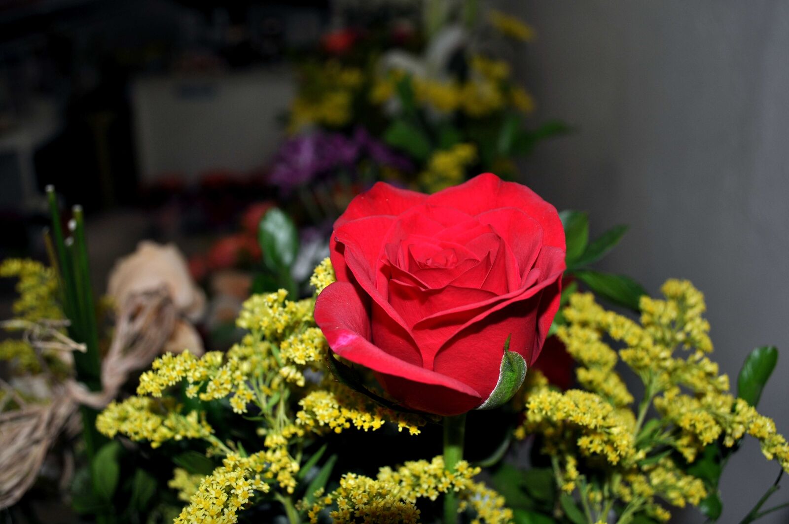 Nikon D5000 sample photo. Bouquet, single, rose, flowers photography