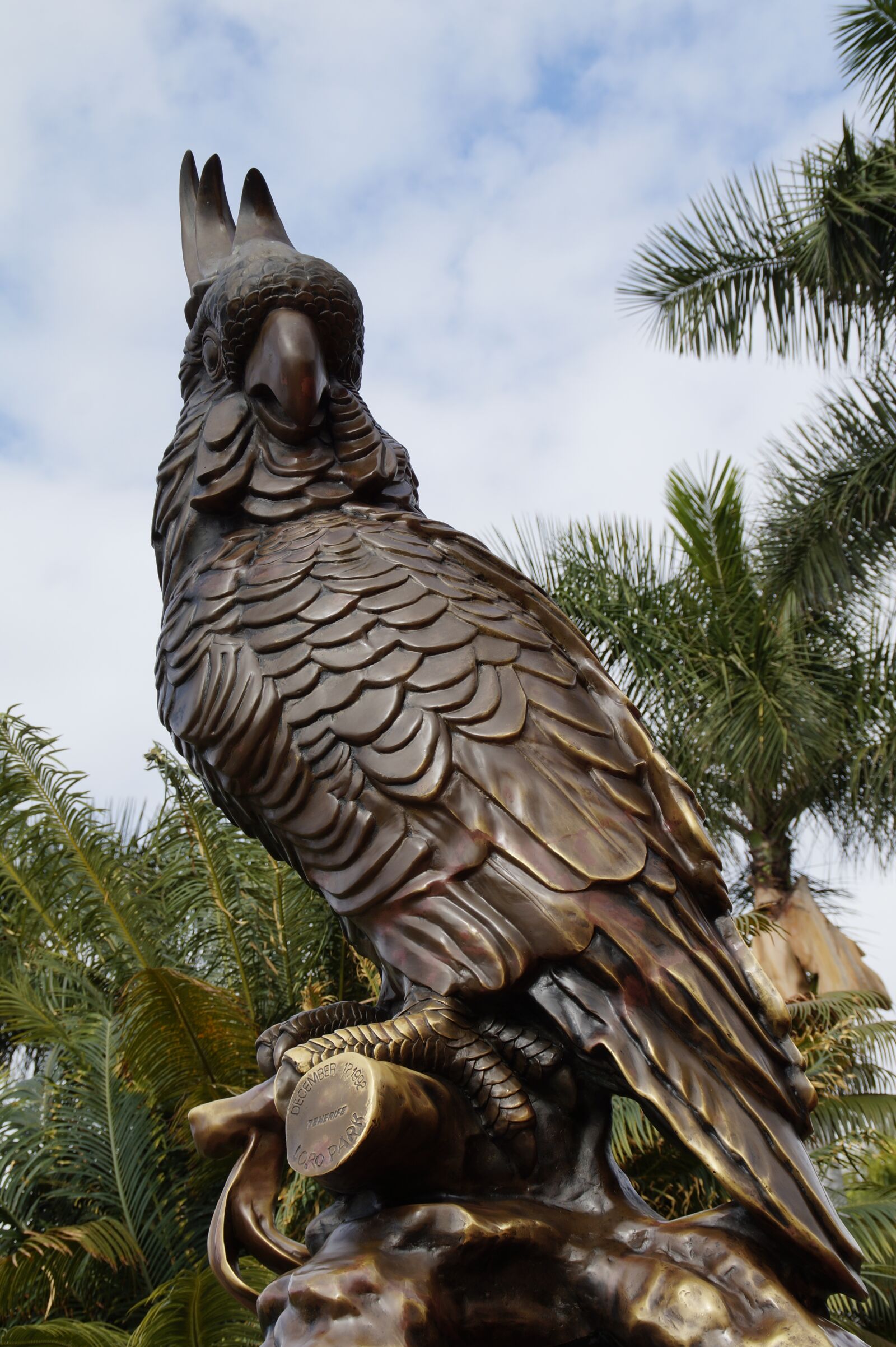 Sony SLT-A58 sample photo. Loro park, loropark, tenerife photography