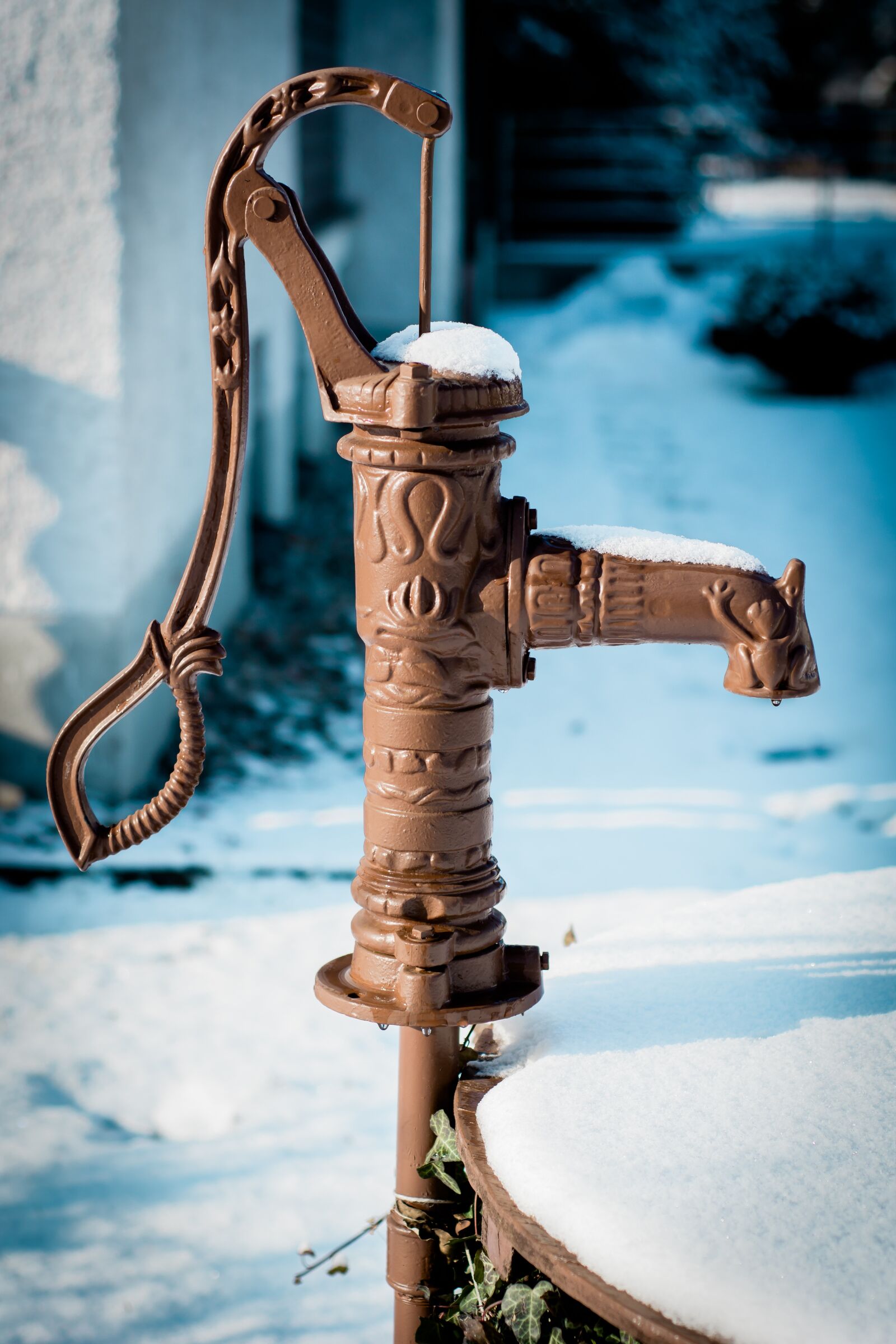 Nikon D7100 sample photo. Hand pump, cock pump photography