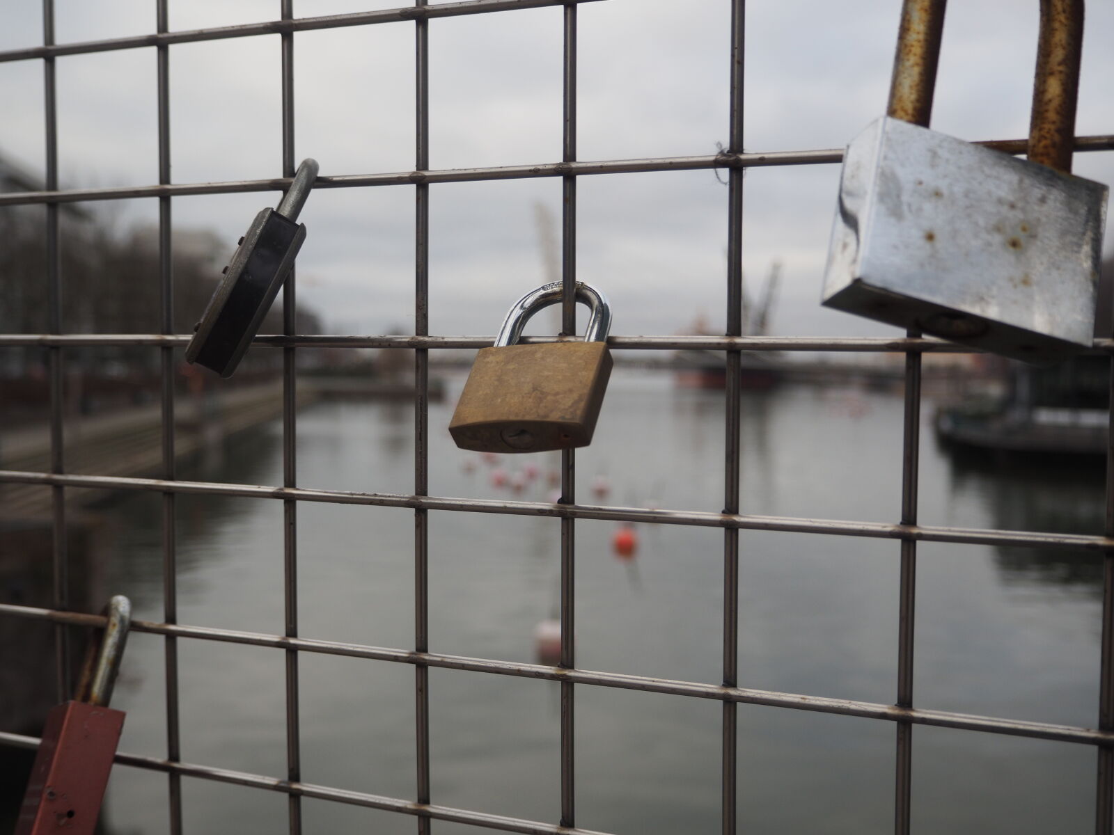 Olympus OM-D E-M5 II sample photo. Locks for loved ones photography