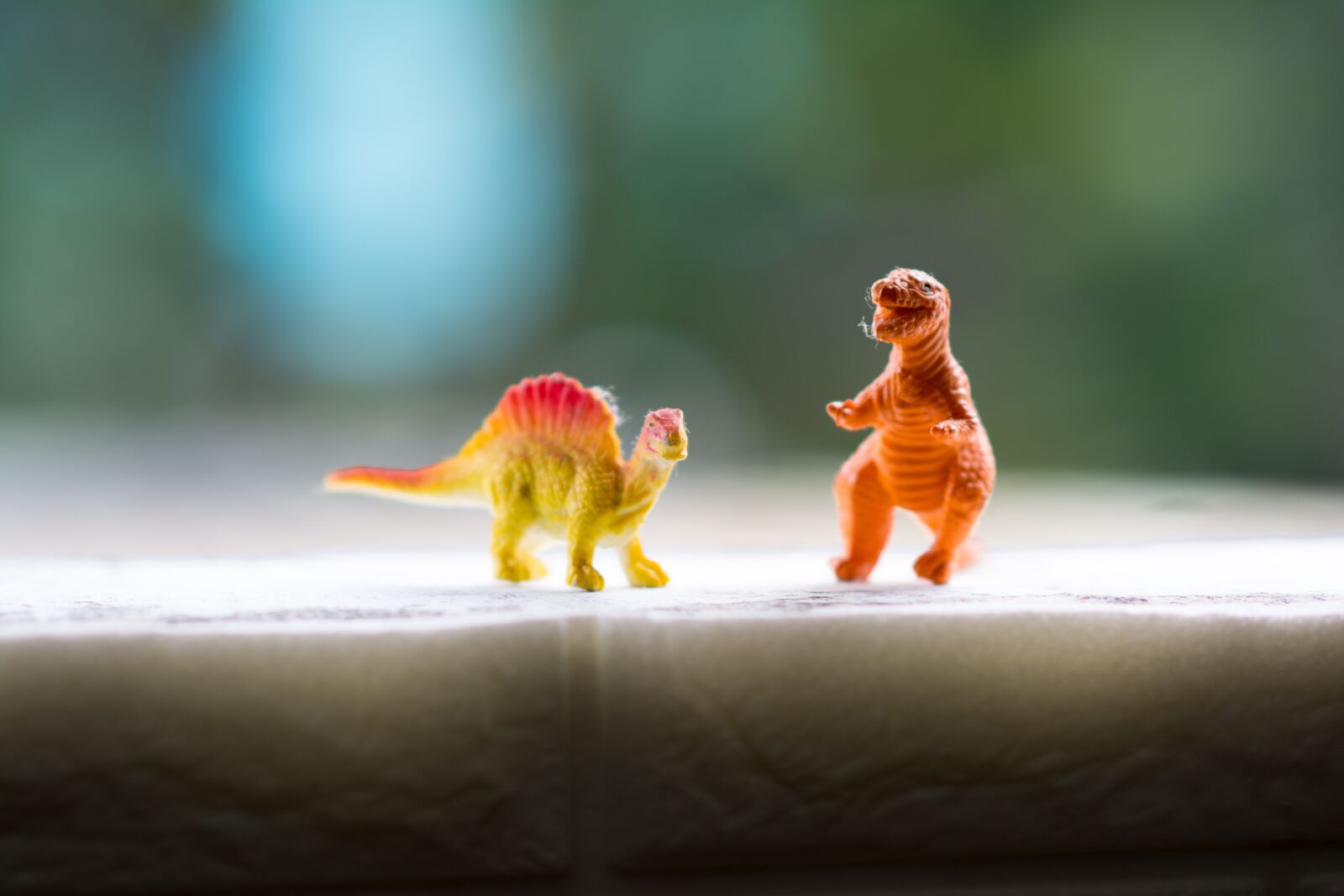 Nikon D5200 sample photo. Animal, toy, cute photography